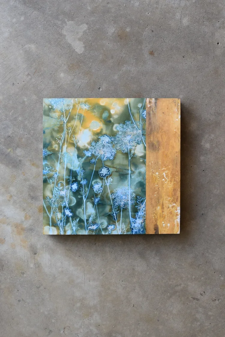Morning Light - 16" x 16"