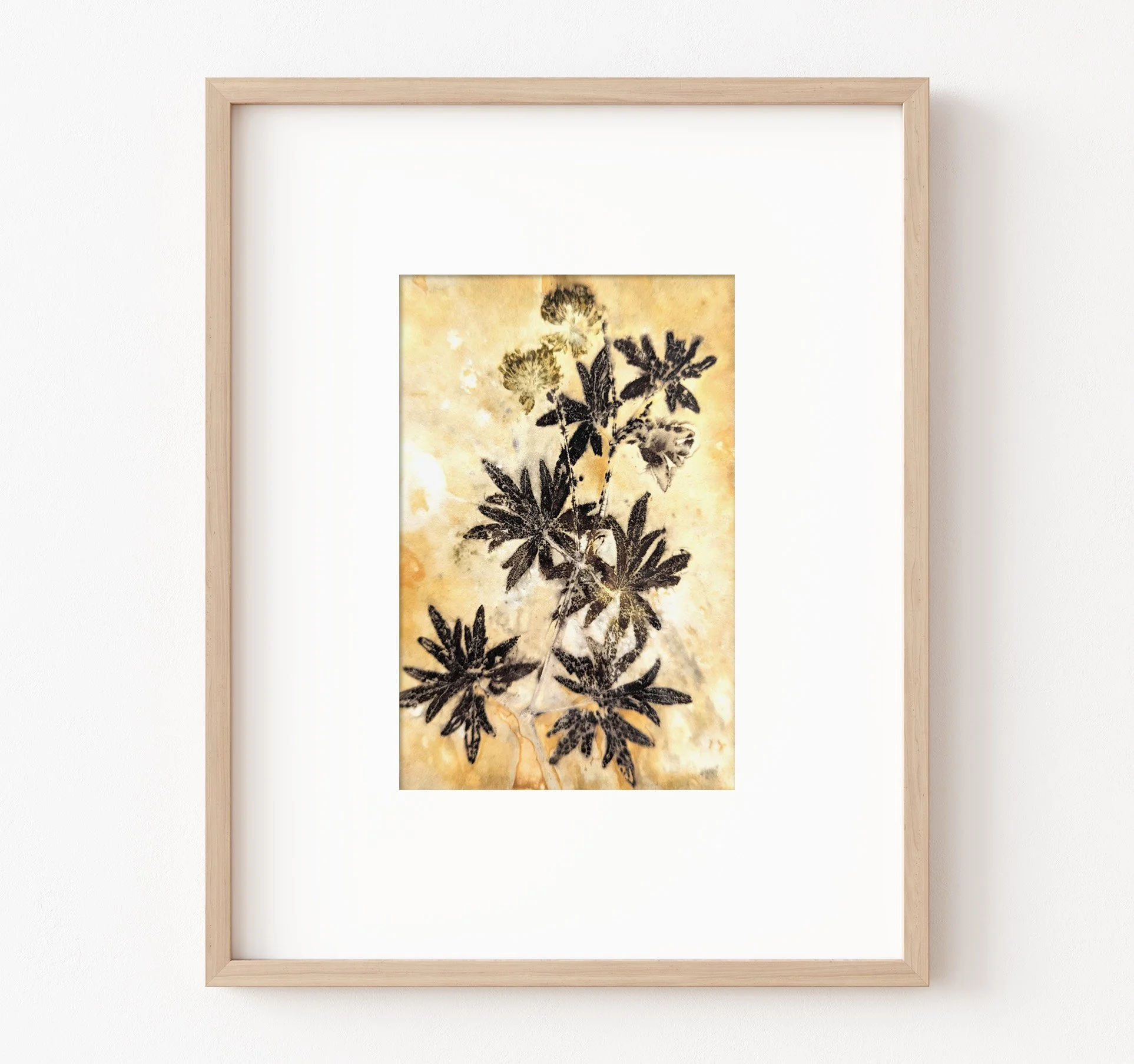 4x6_ecoprint_034.jpg