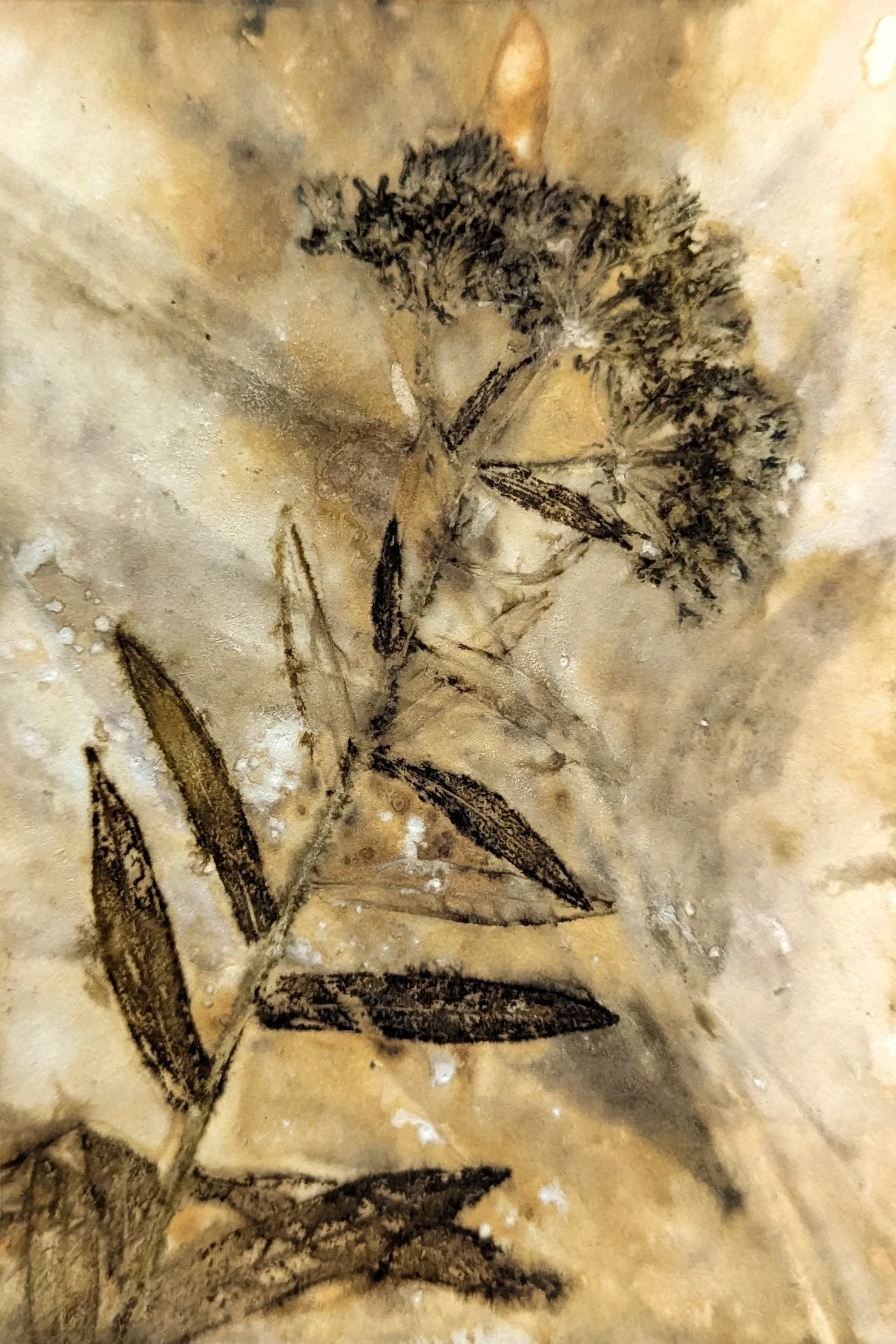 4x6_ecoprint_006.jpg
