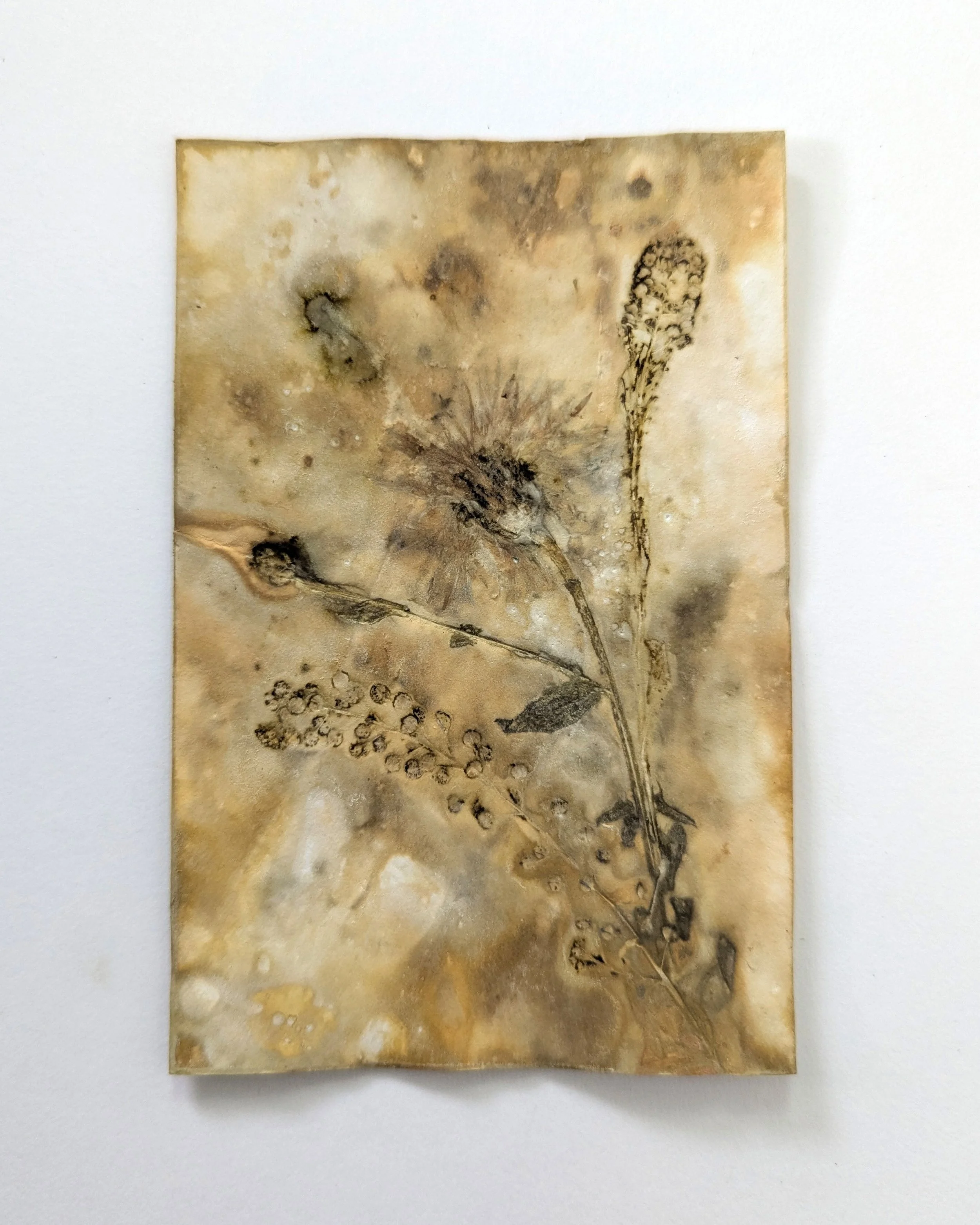 4x6_ecoprint_014b.jpg