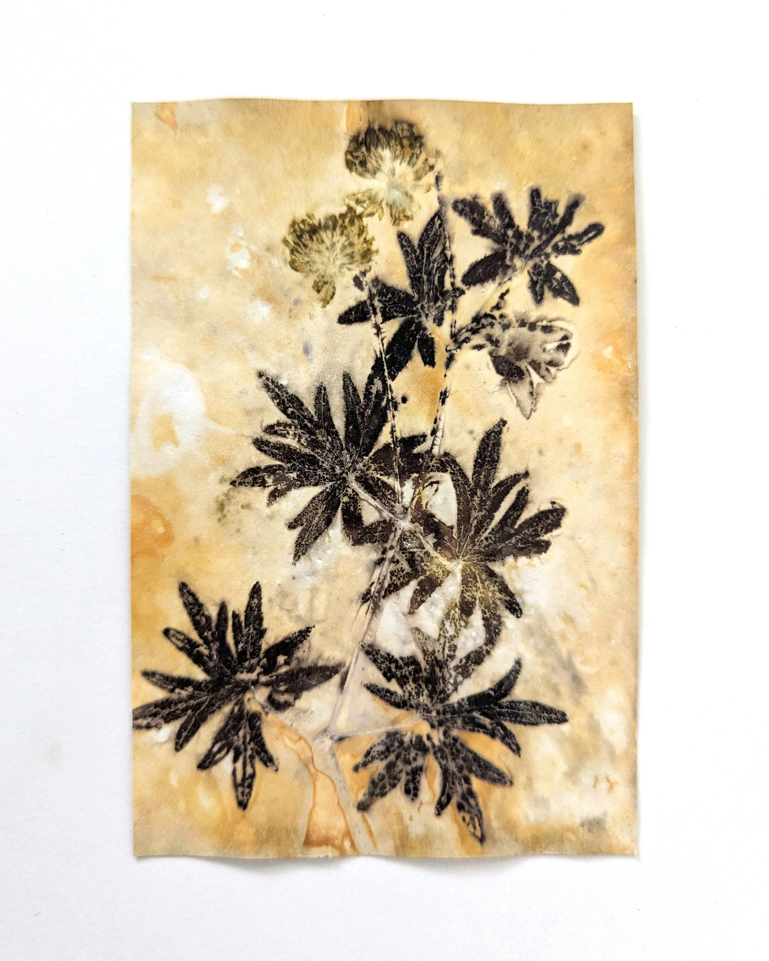 4x6_ecoprint_034b.jpg