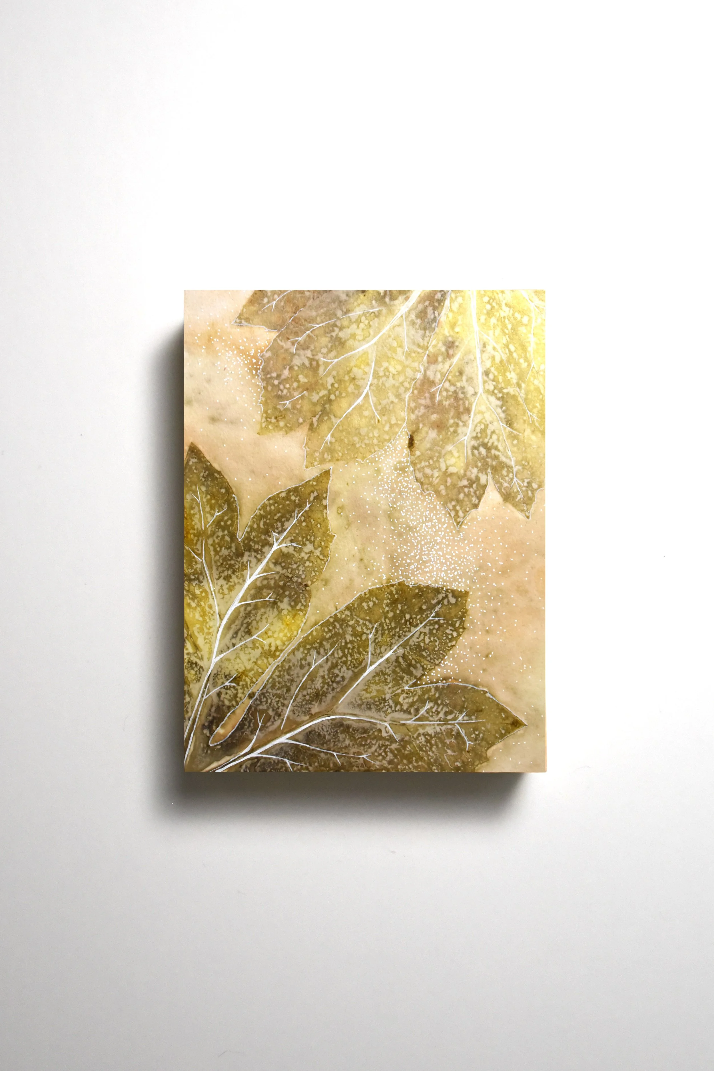 Mayapple Bloom - 6" x 8"