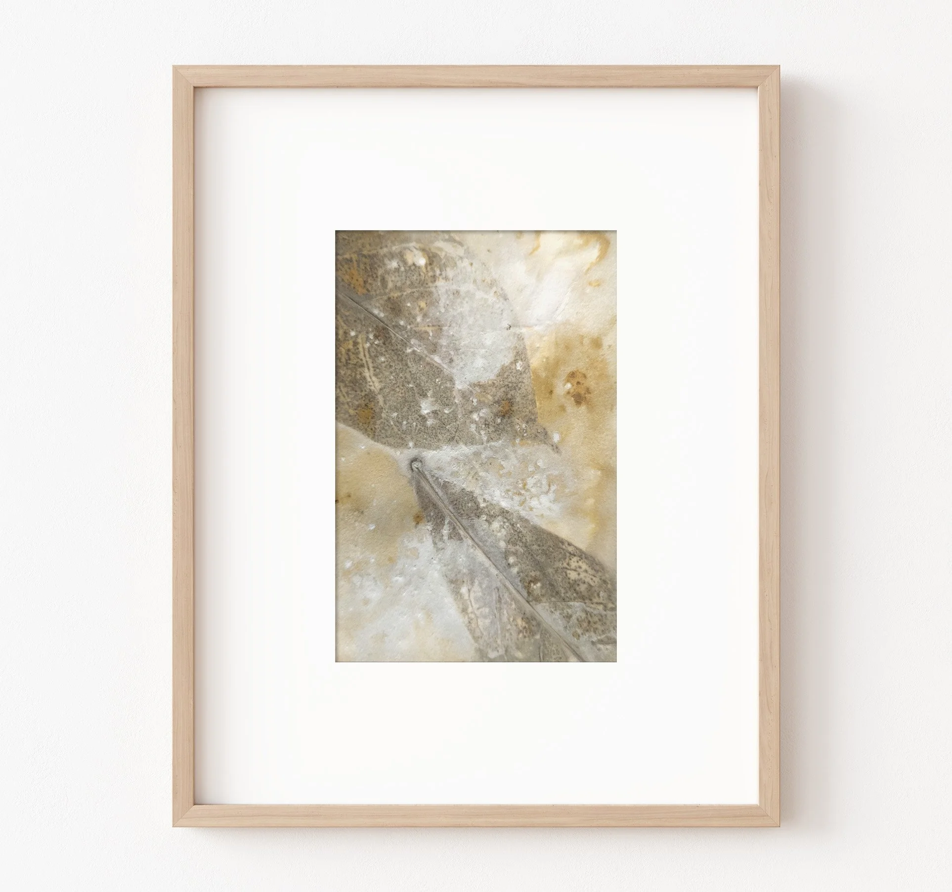 4x6_ecoprint_008.jpg