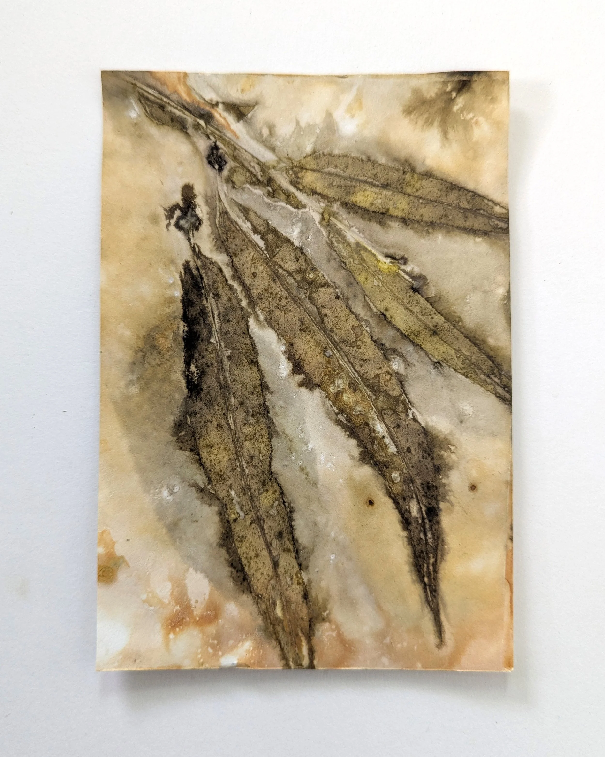 4x6_ecoprint_026b.jpg