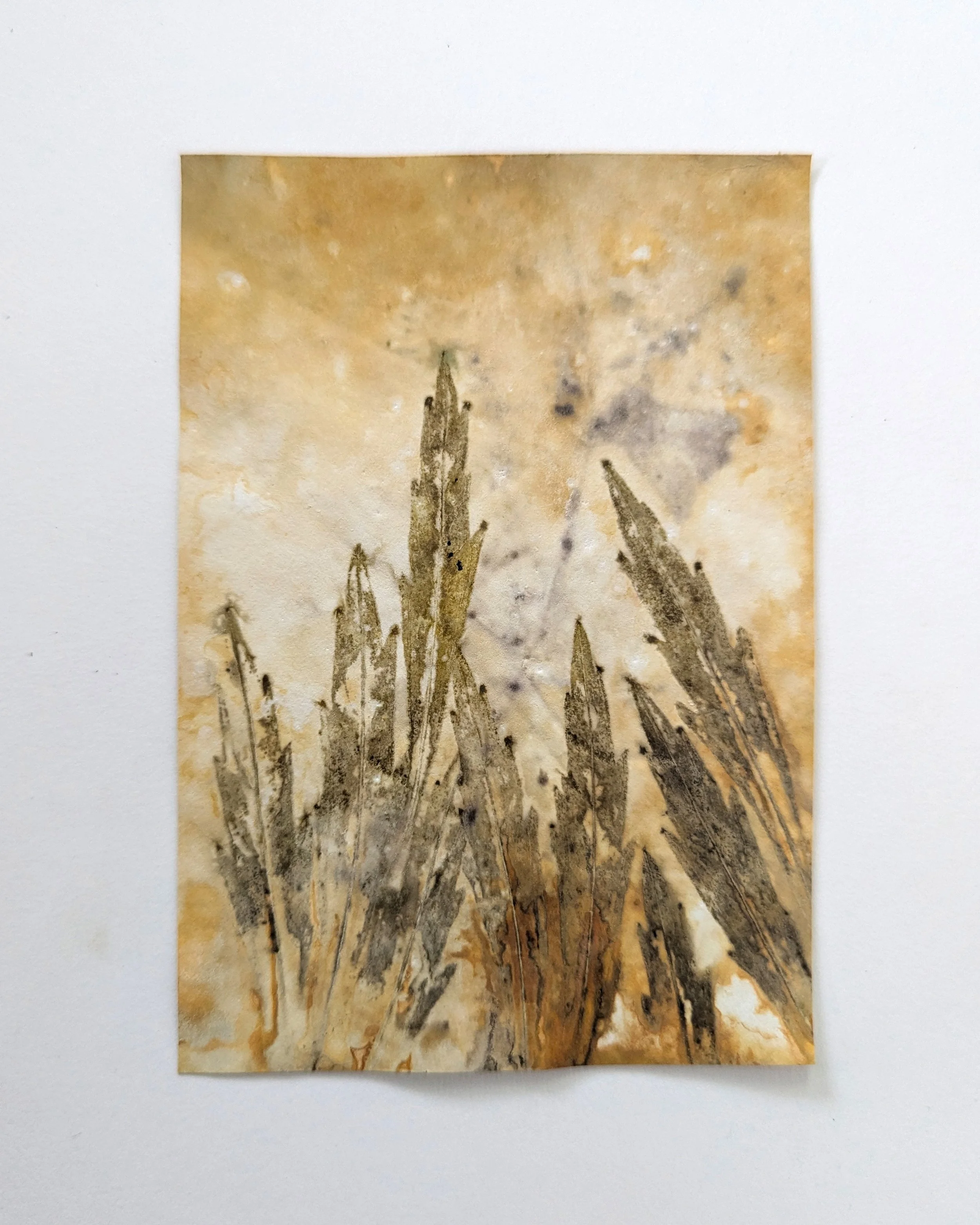 4x6_ecoprint_037b.jpg