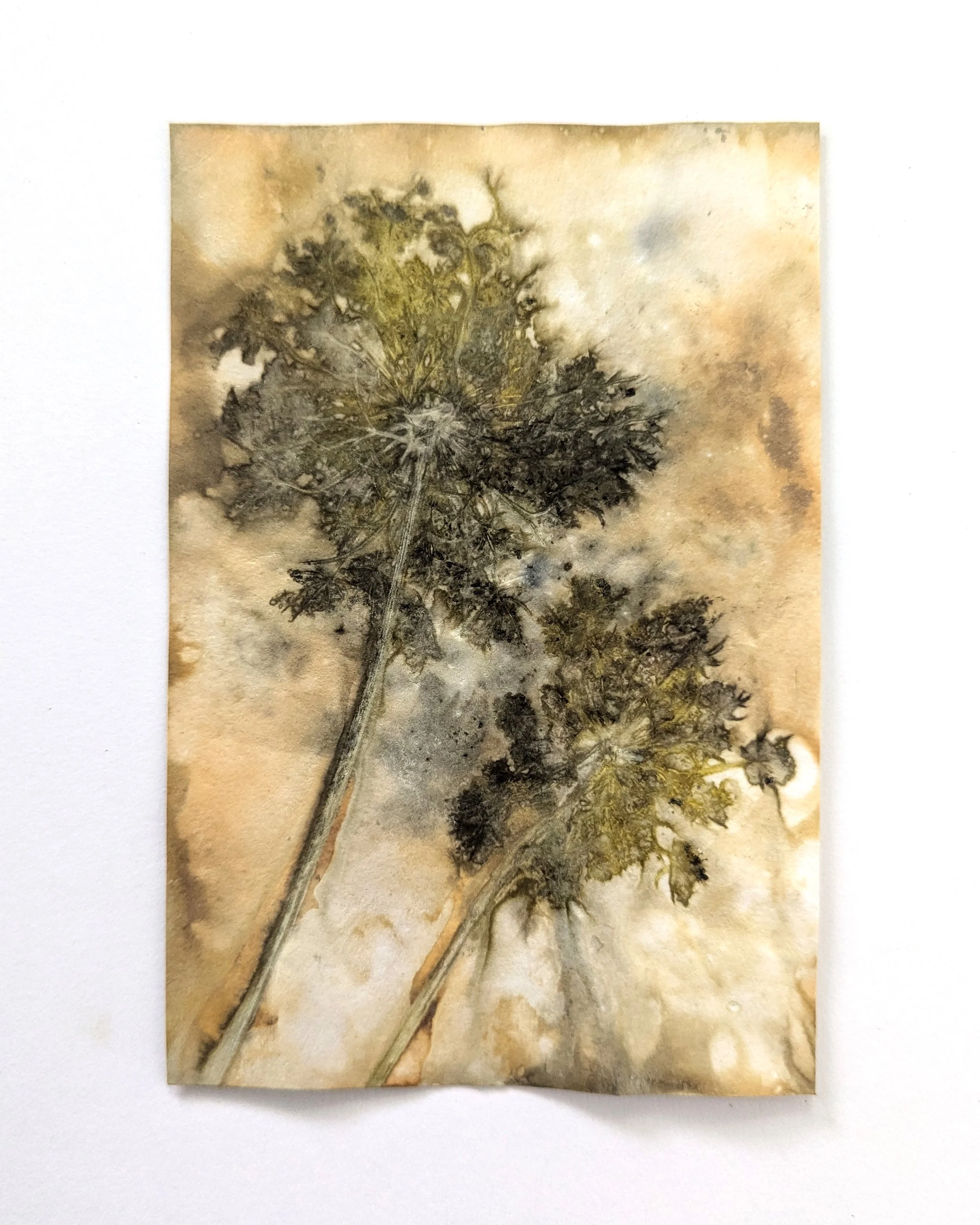 4x6_ecoprint_017b.jpg