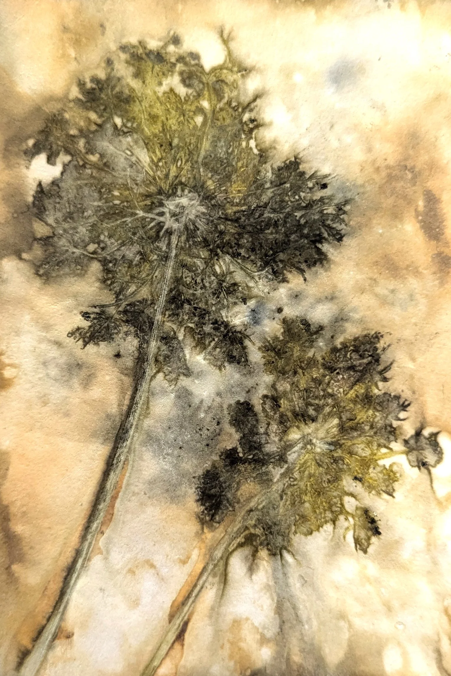 4x6_ecoprint_017.jpg
