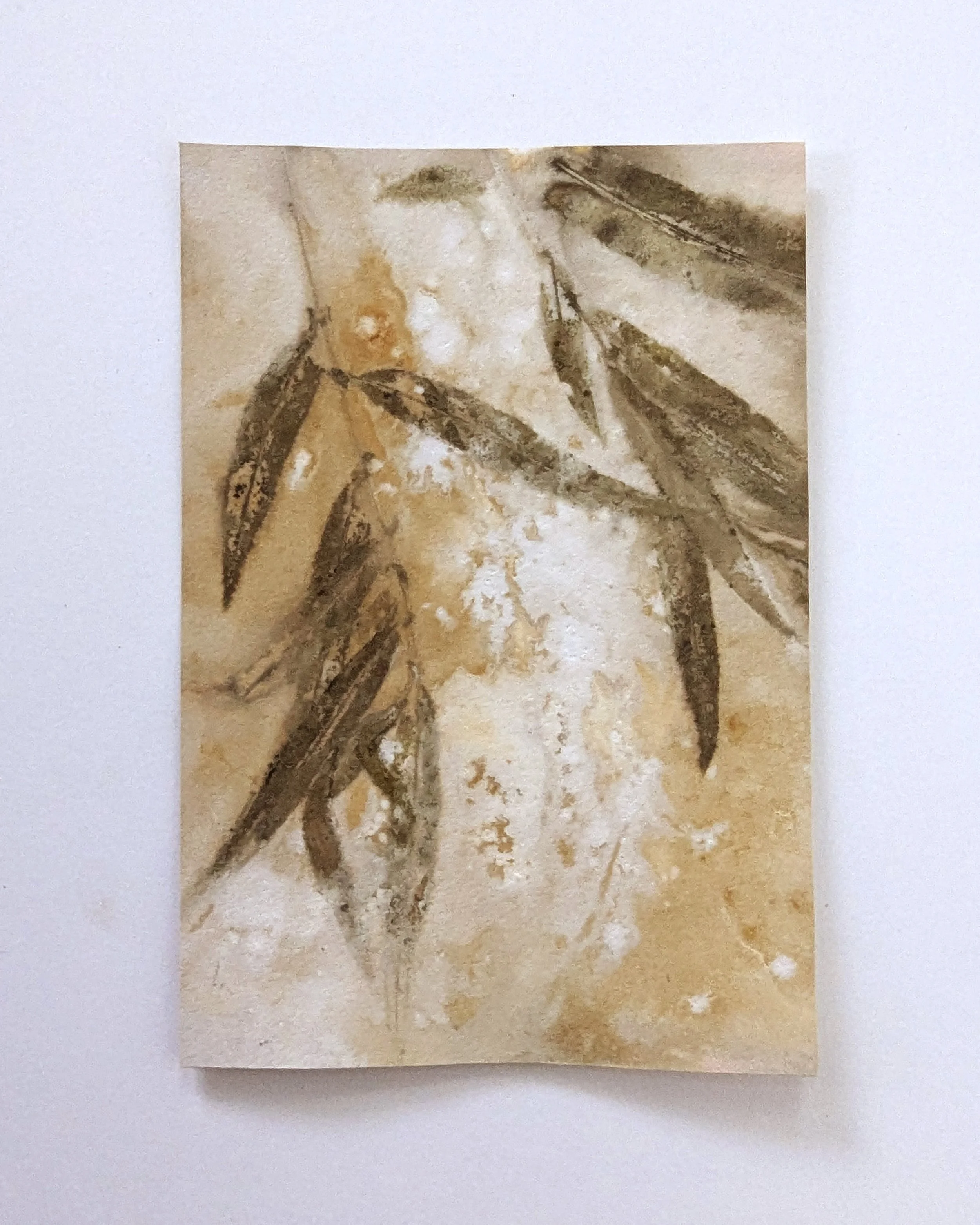 4x6_ecoprint_012b.jpg