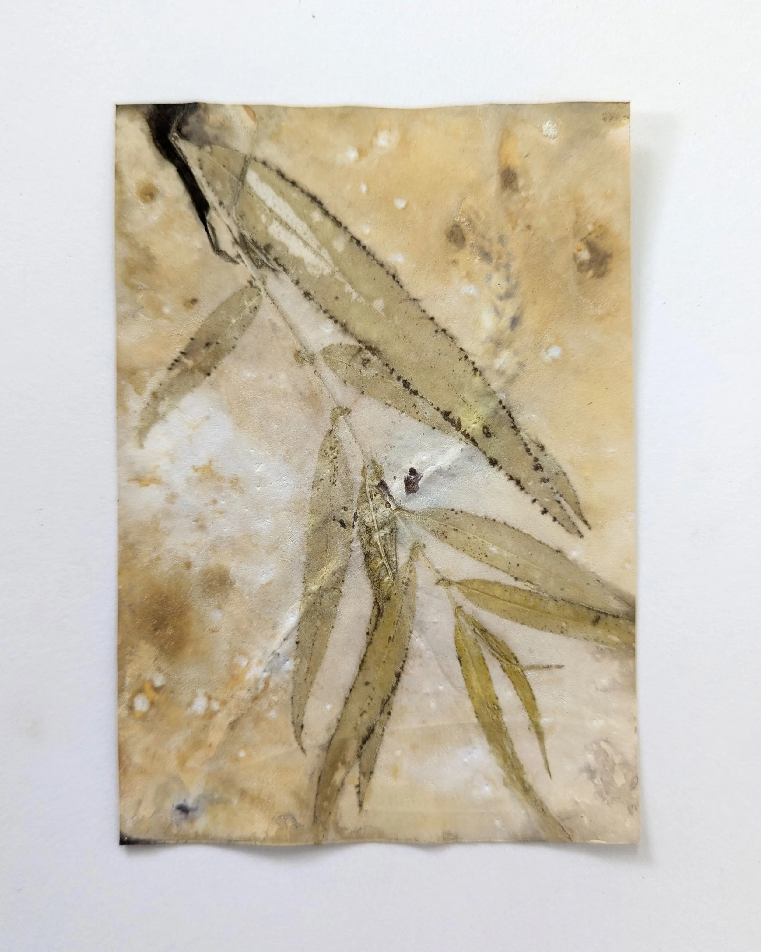 4x6_ecoprint_028b.jpg