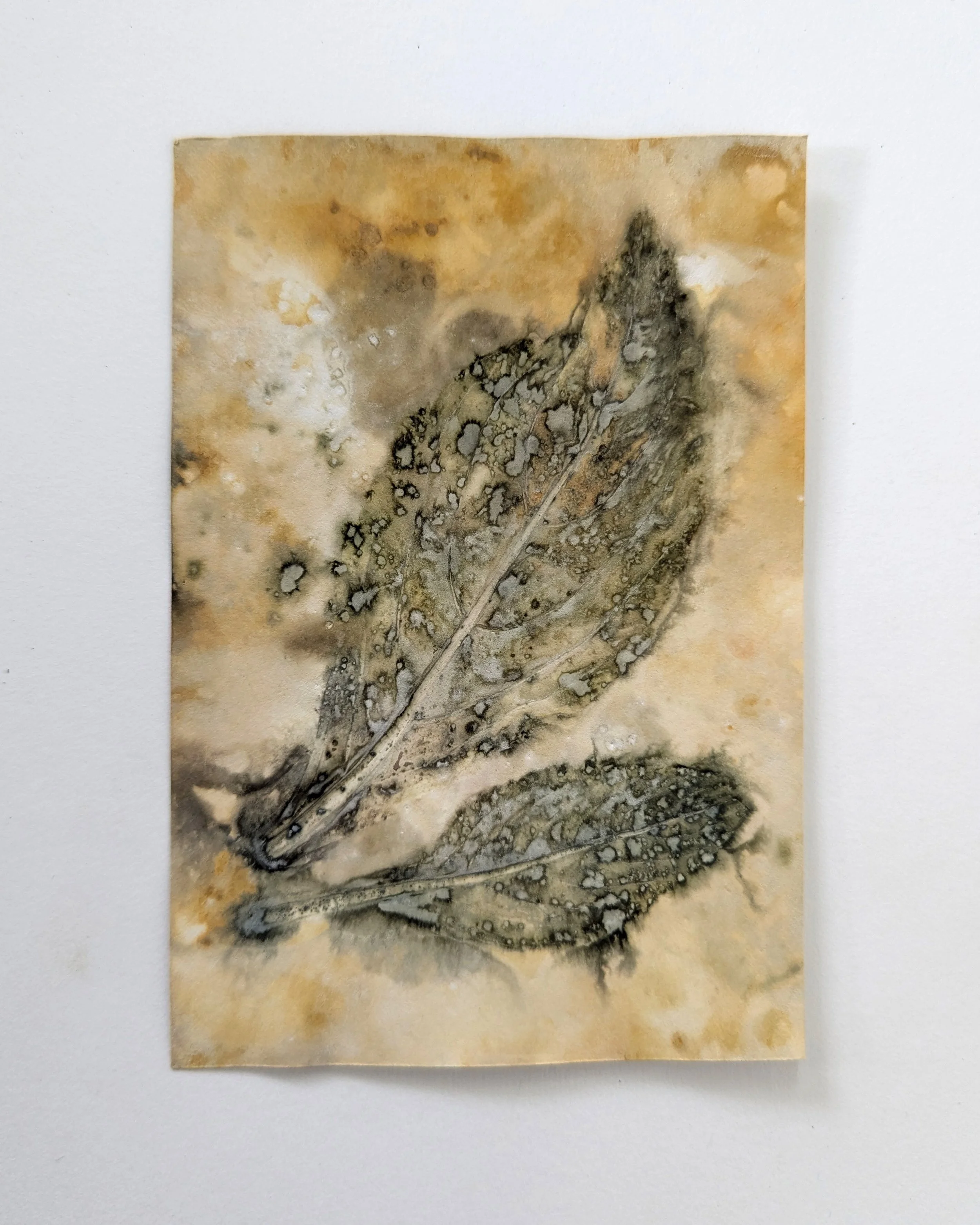 4x6_ecoprint_042b.jpg