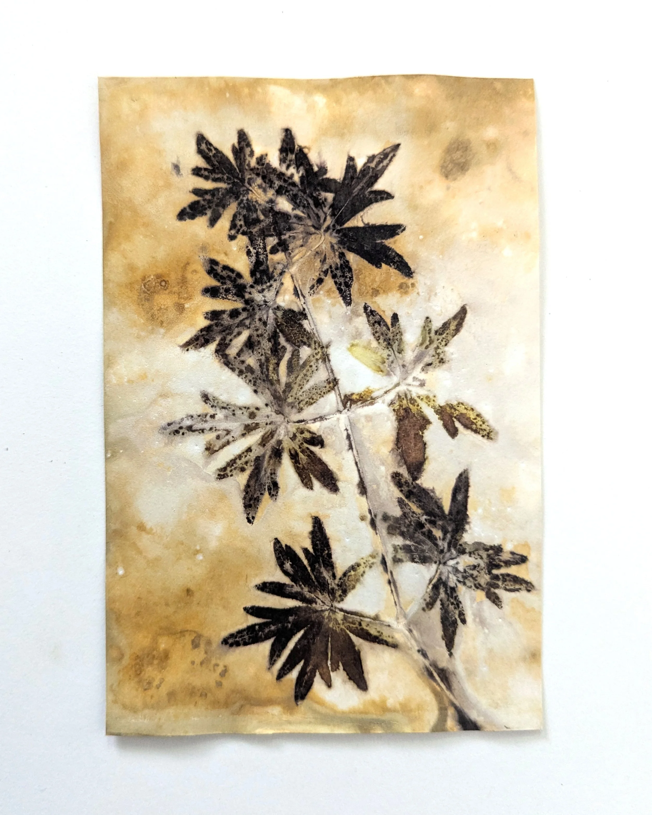 4x6_ecoprint_038b.jpg
