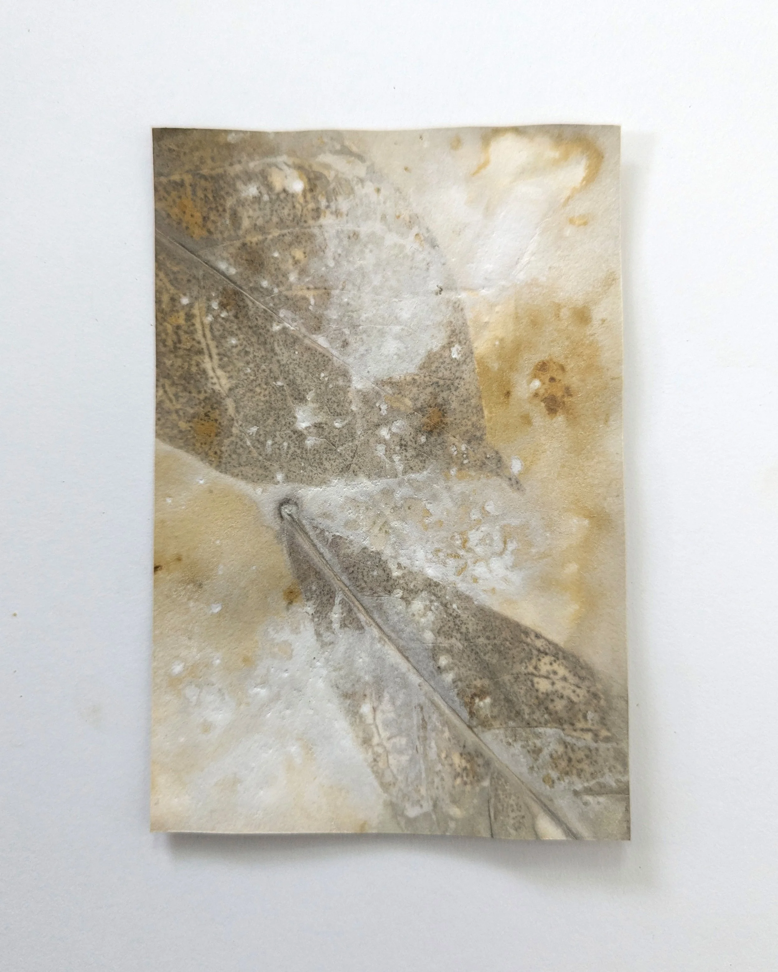 4x6_ecoprint_008b.jpg