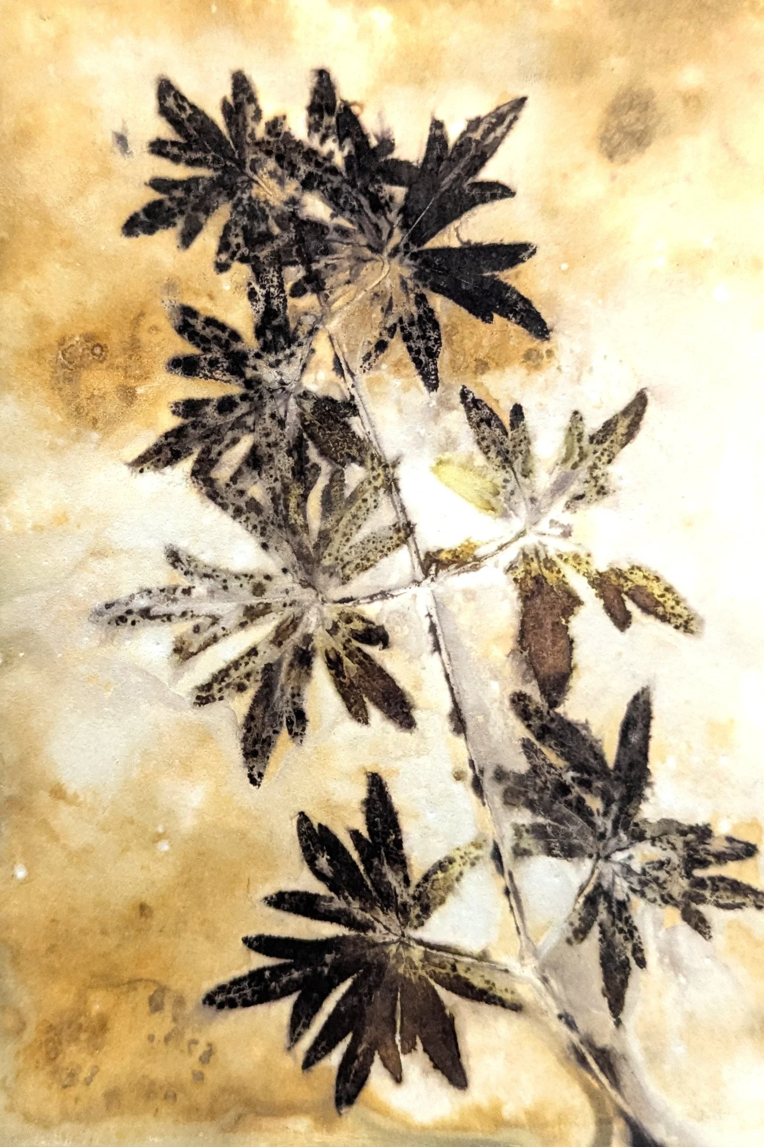 4x6_ecoprint_038.jpg