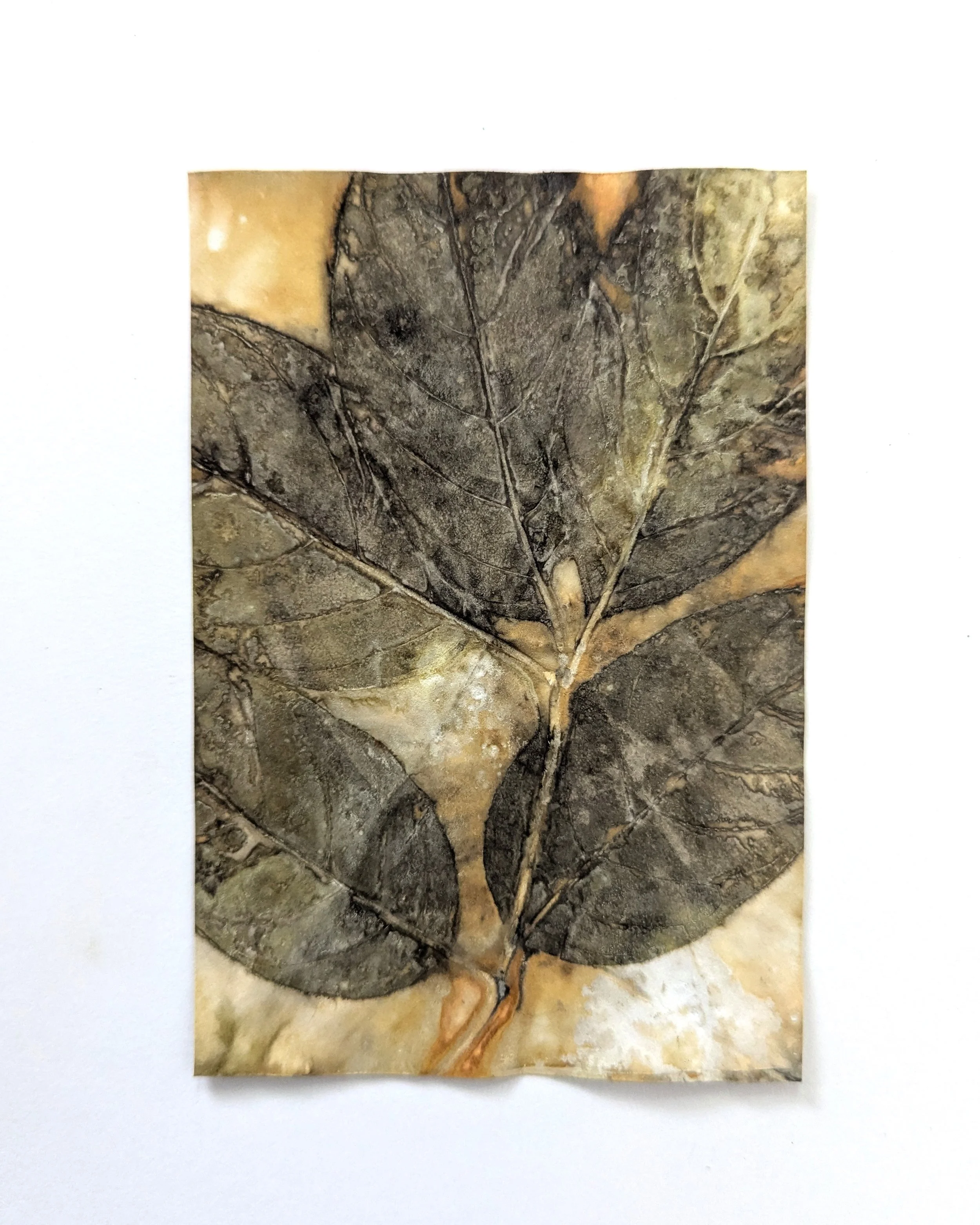 4x6_ecoprint_023b.jpg