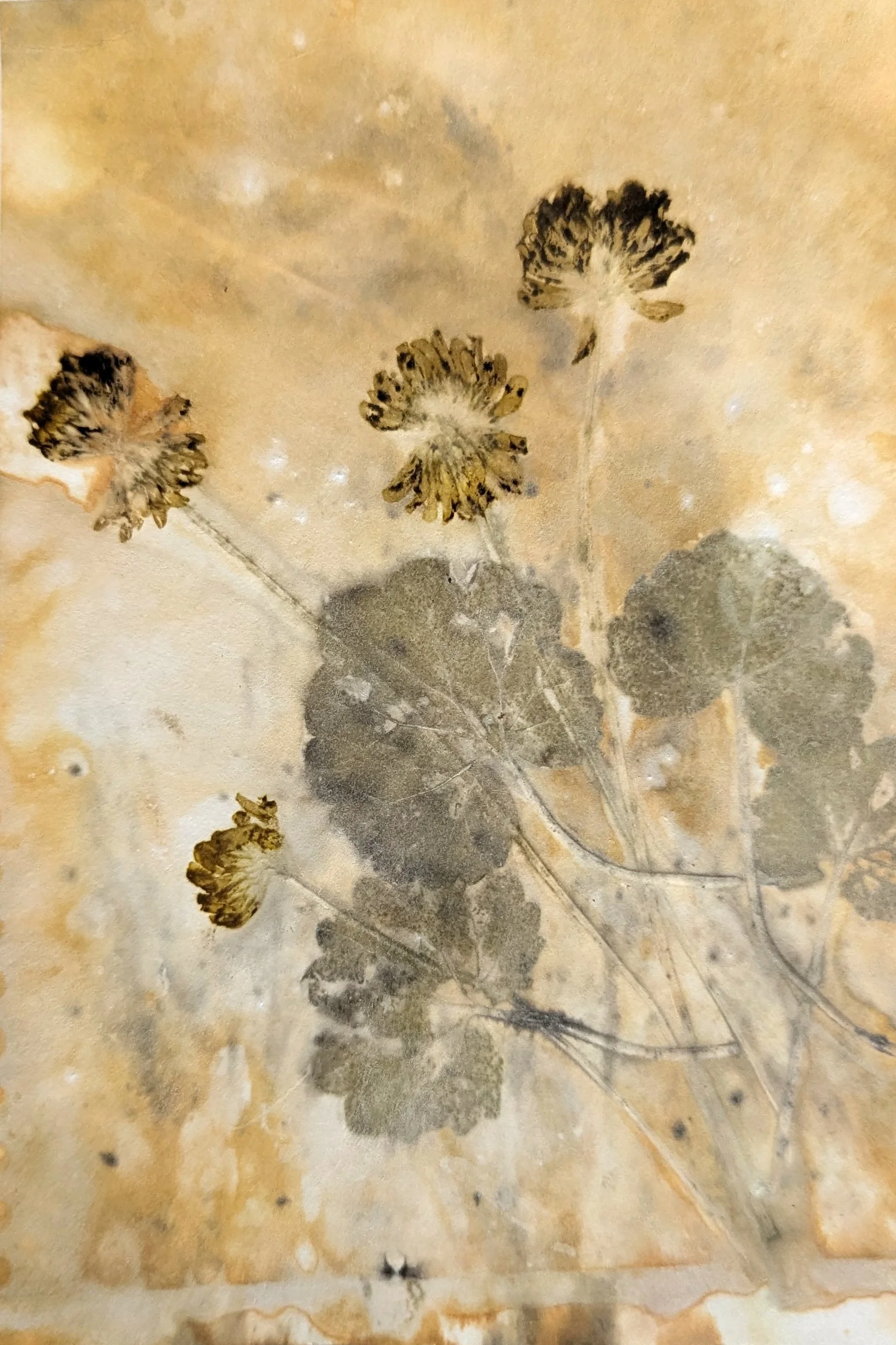4x6_ecoprint_035.jpg