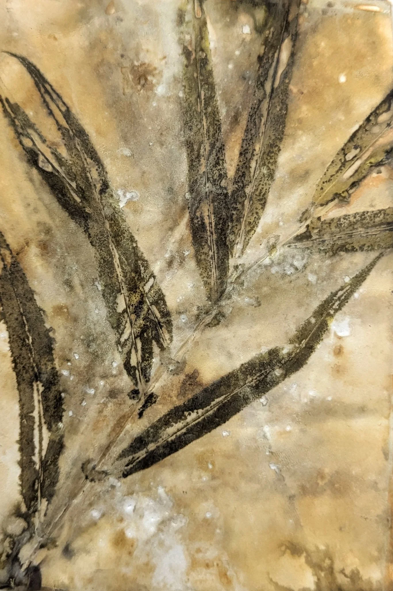 4x6_ecoprint_004.jpg