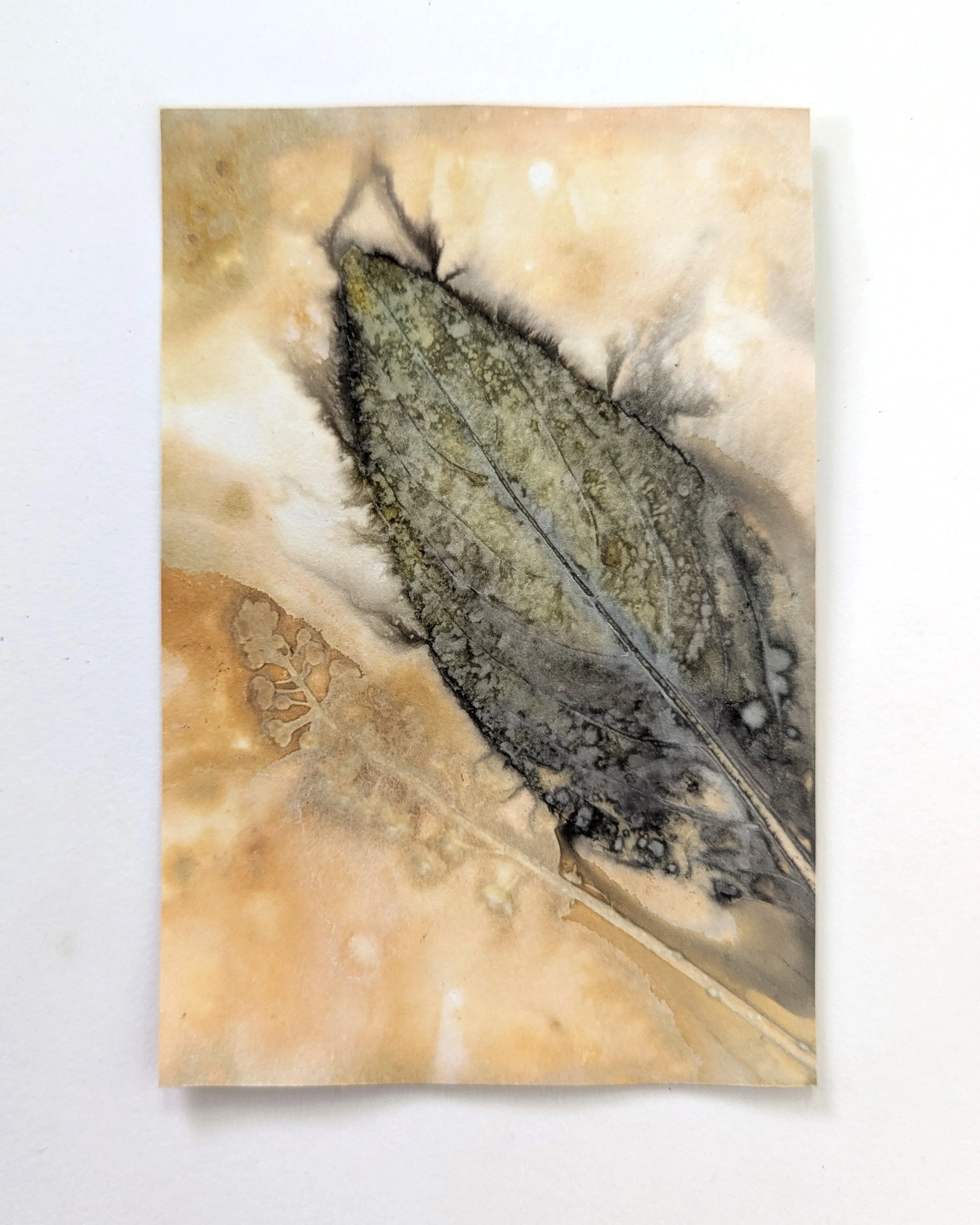 4x6_ecoprint_040b.jpg