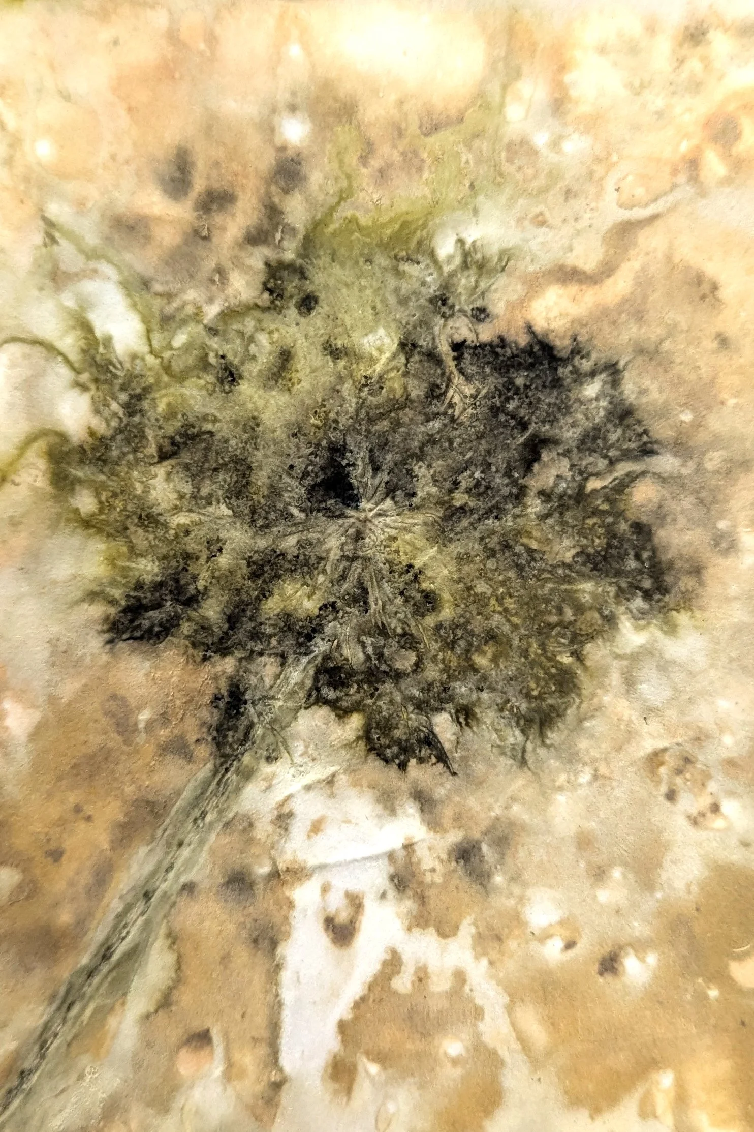 4x6_ecoprint_021.jpg