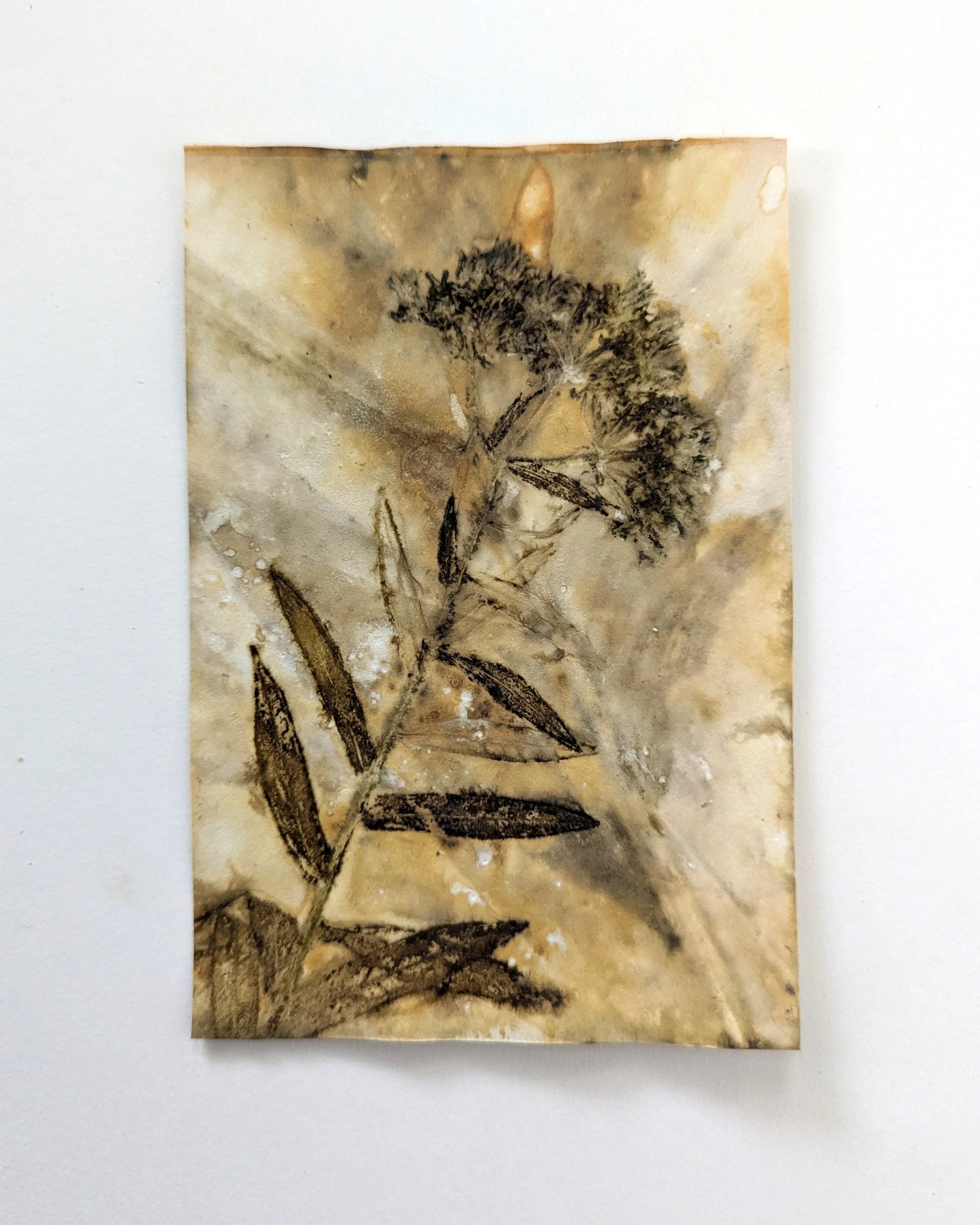 4x6_ecoprint_006b.jpg