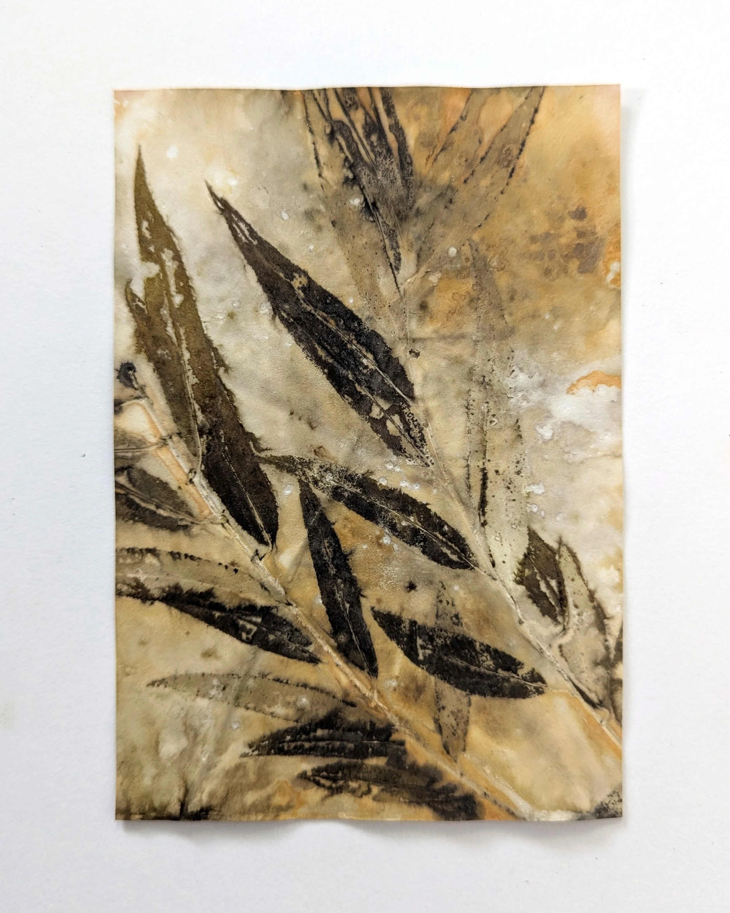 4x6_ecoprint_025b.jpg