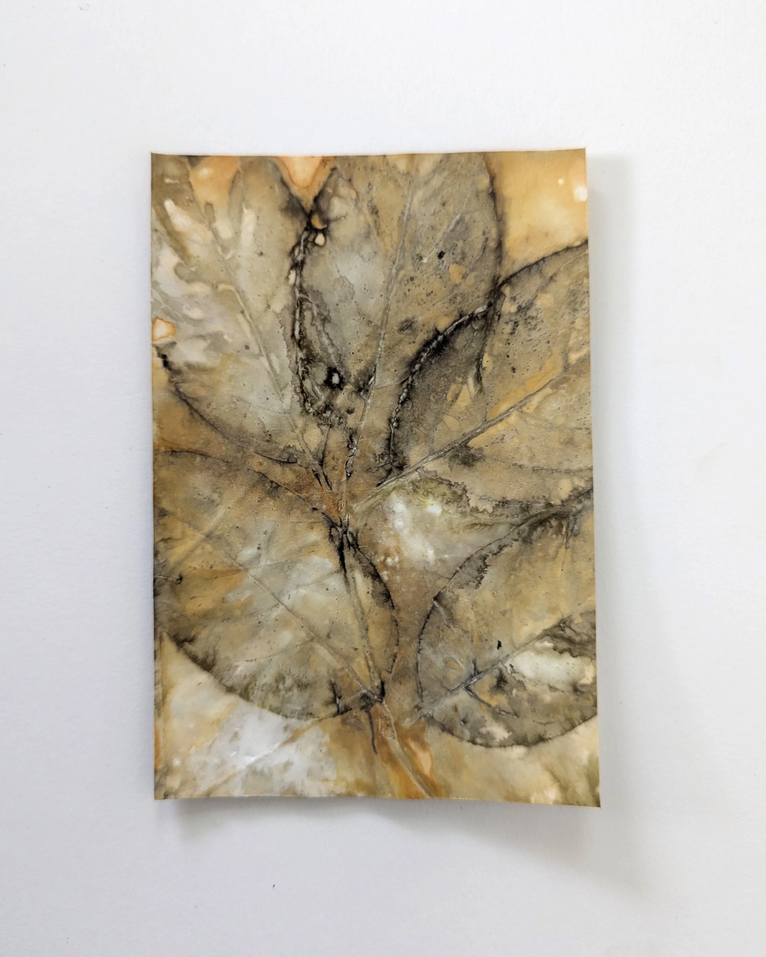 4x6_ecoprint_002b.jpg