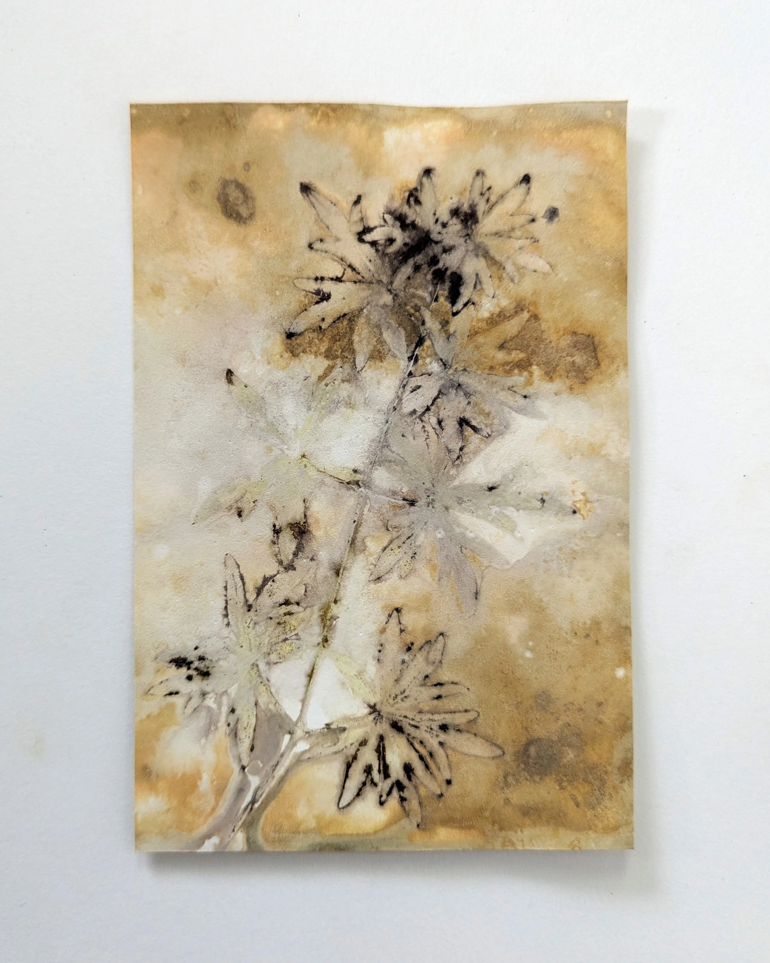 4x6_ecoprint_032b.jpg