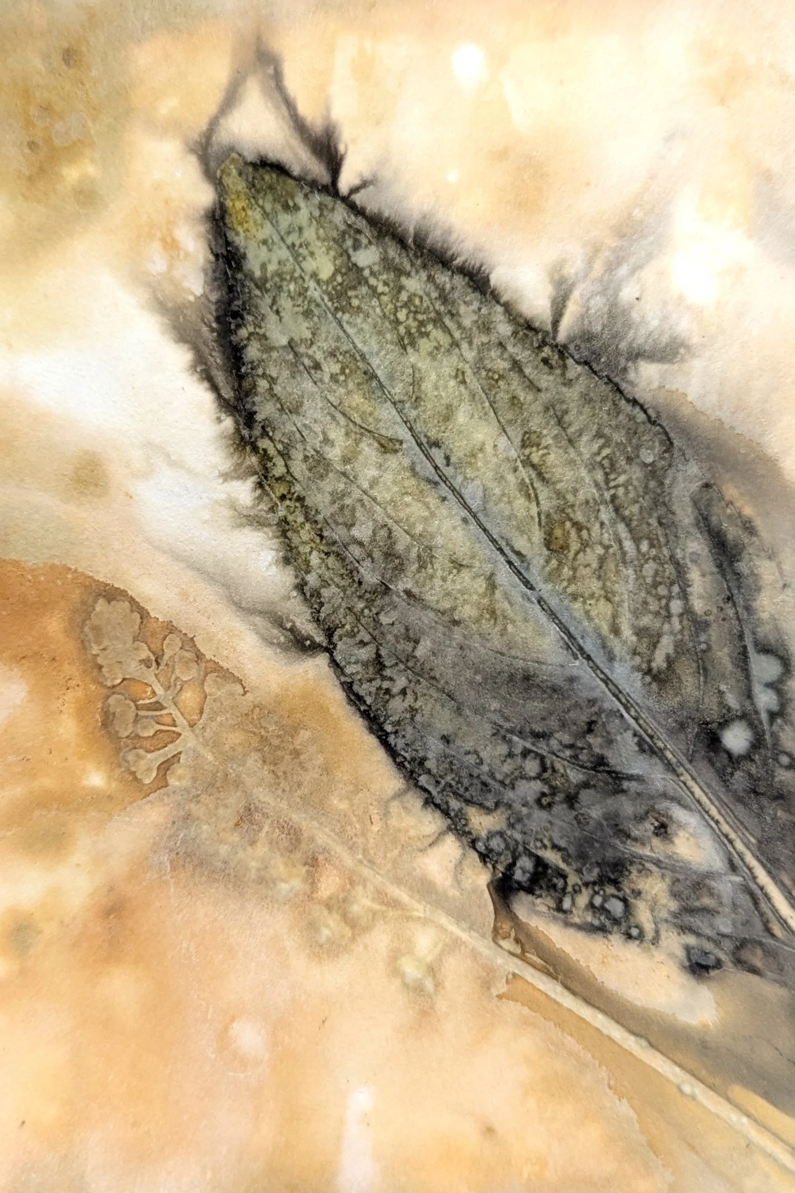 4x6_ecoprint_040.jpg