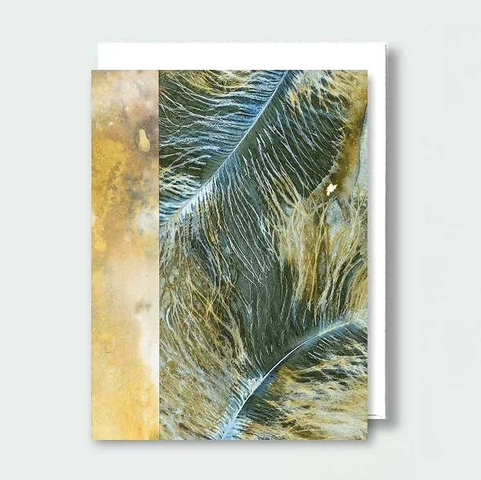 card_feather2.jpg