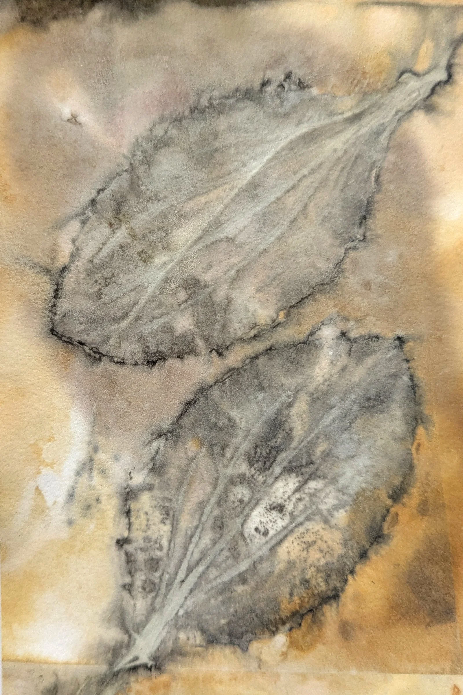 4x6_ecoprint_041.jpg