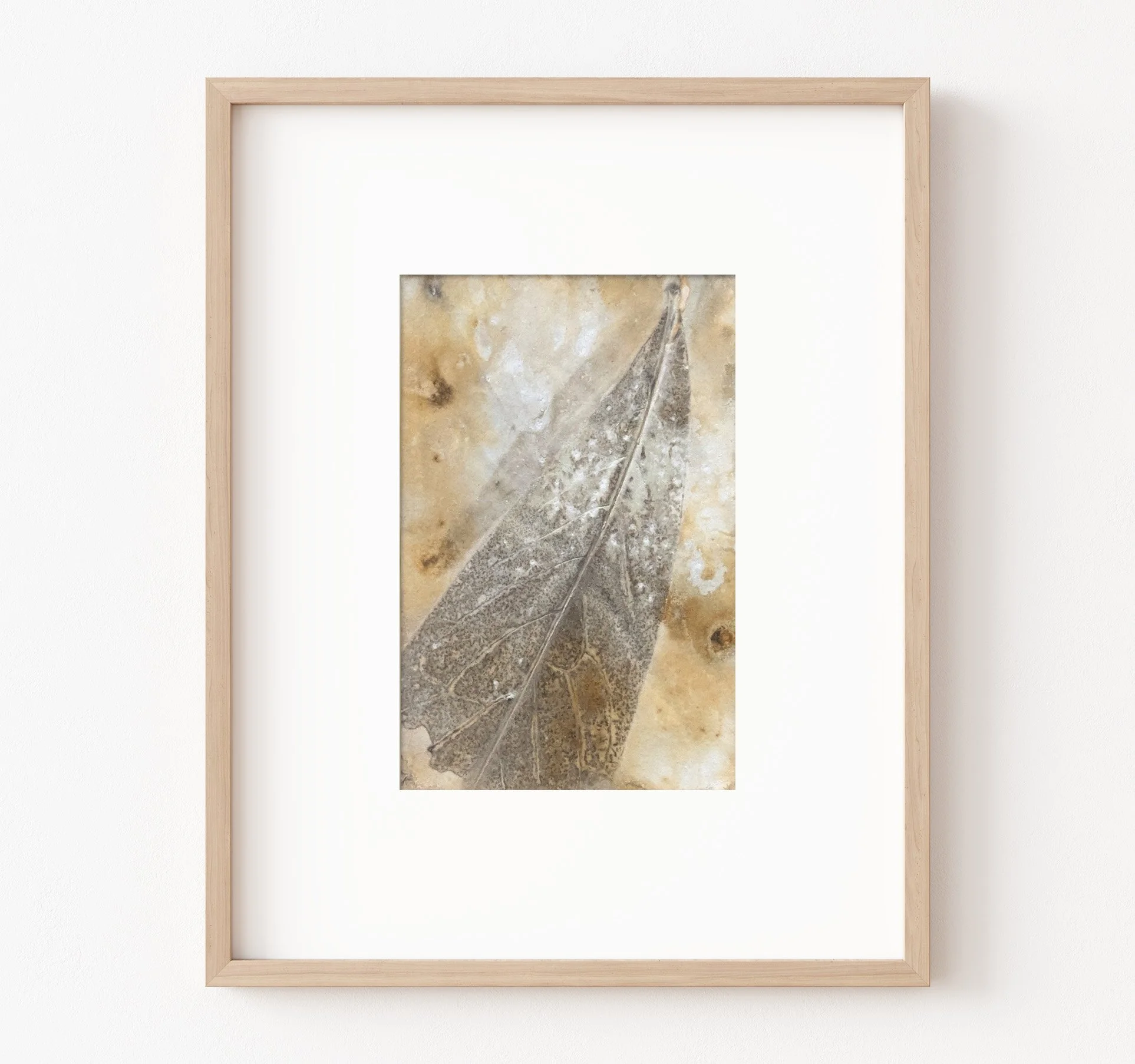 4x6_ecoprint_011.jpg