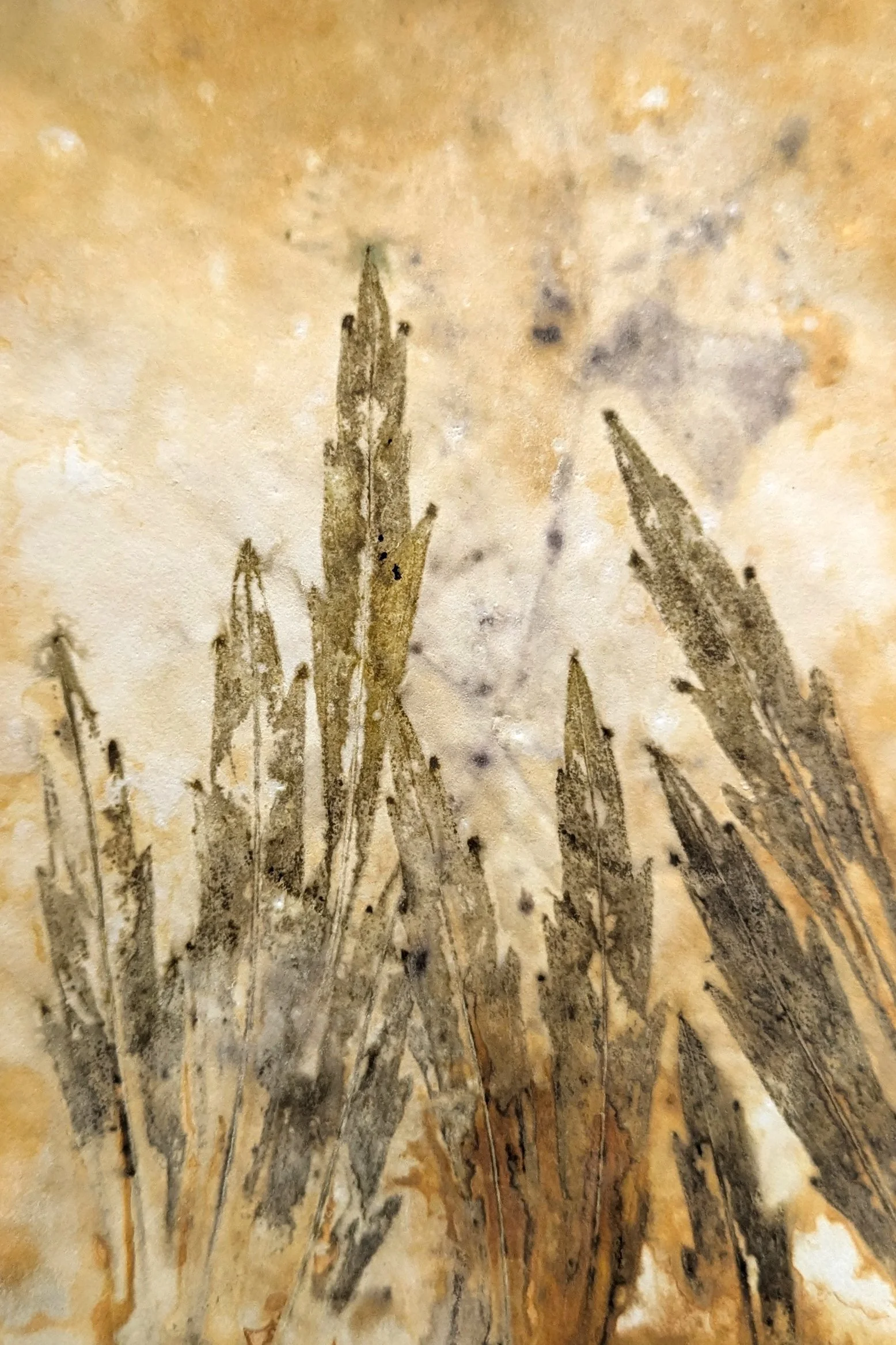 4x6_ecoprint_037.jpg