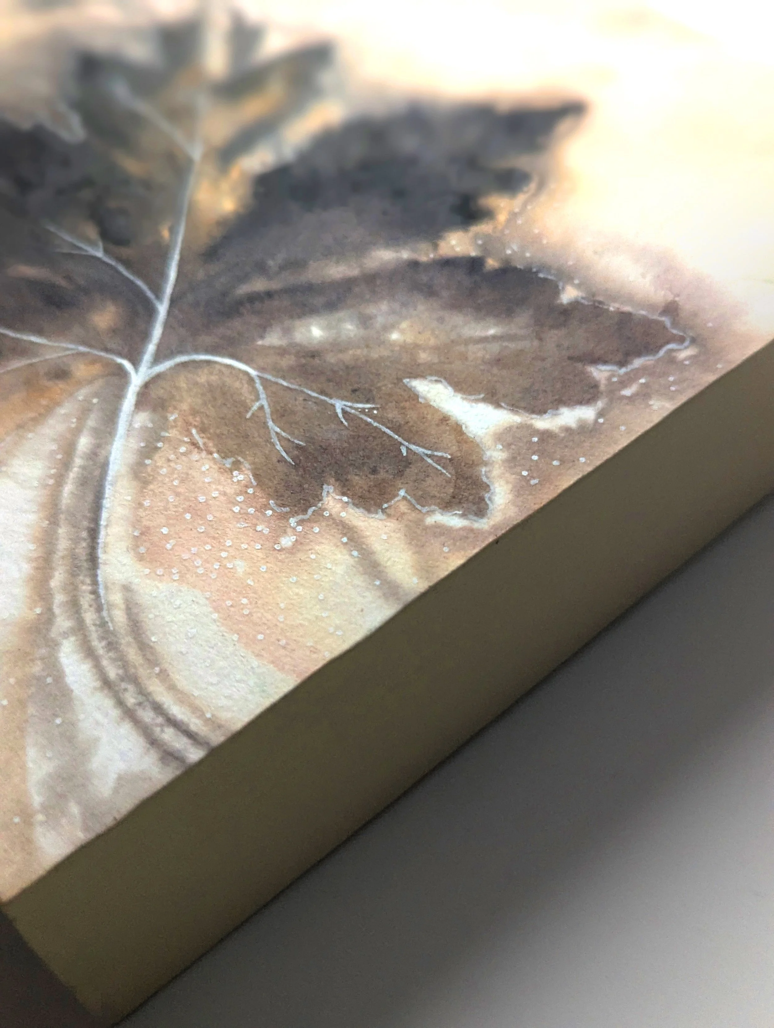 STreanor_SummerSong3_detail.jpg