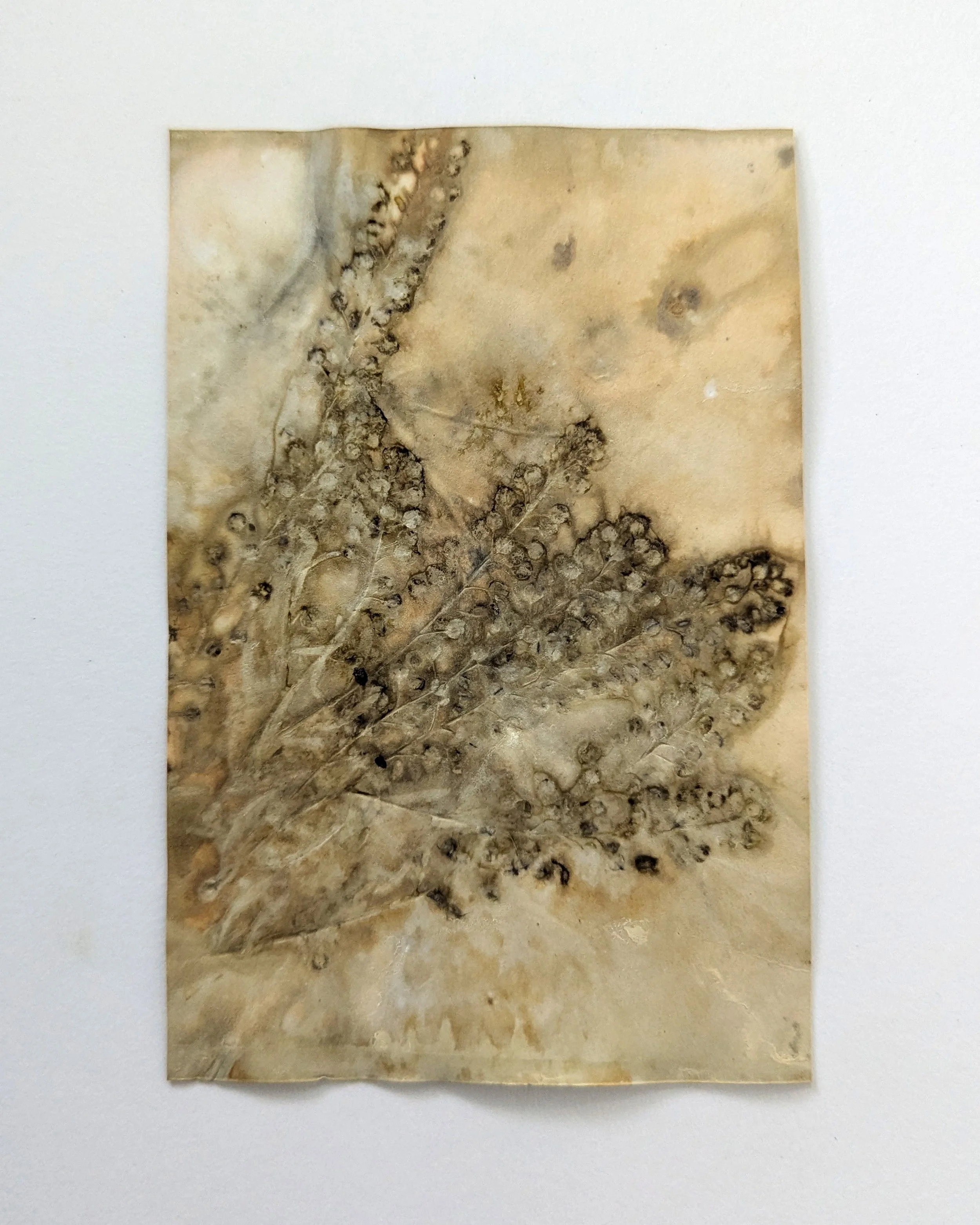 4x6_ecoprint_016b.jpg