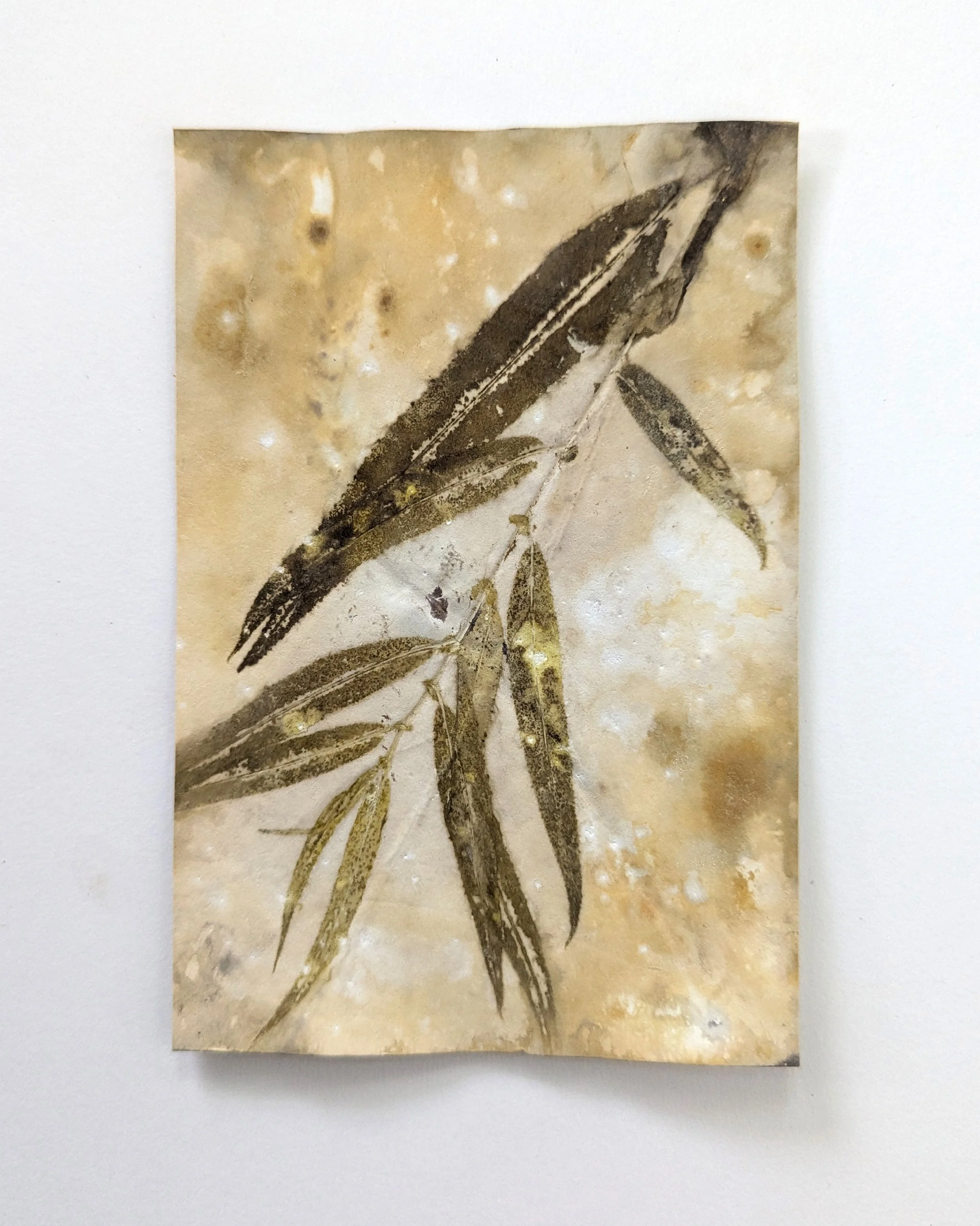 4x6_ecoprint_009b.jpg