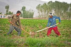 India Becoming More Fitness Conscious