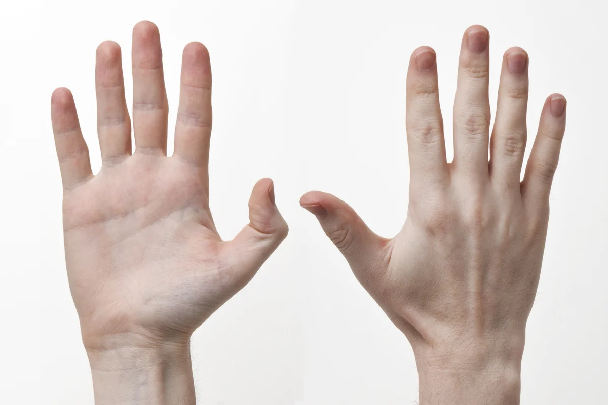 Weight Train To Offset Arthritis In Your Hands