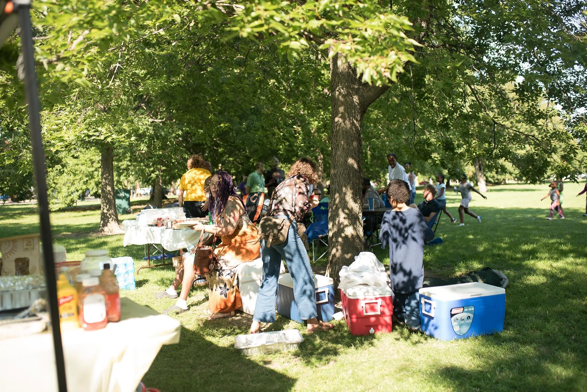DSC_1955.jpg