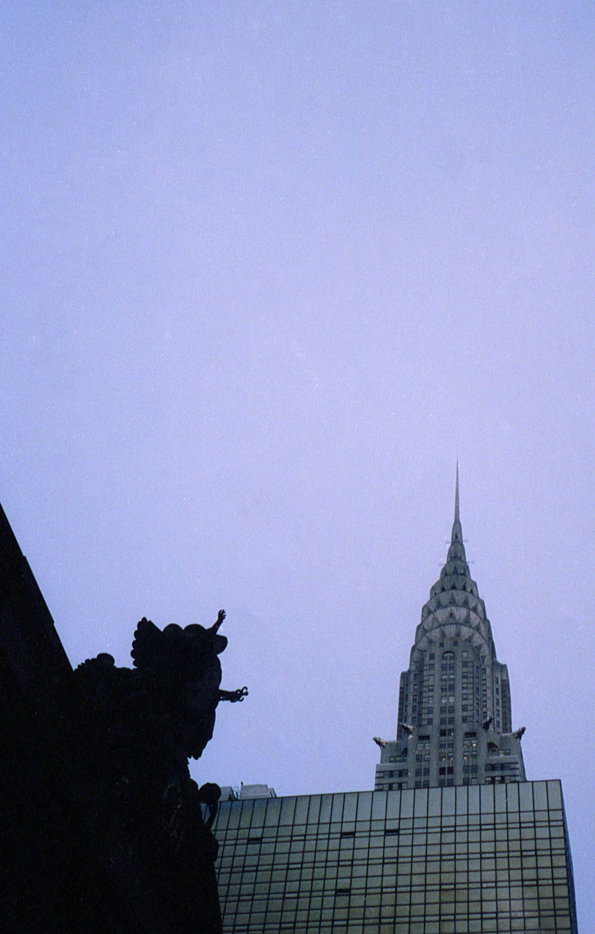 img20200406_14570062_edit.jpg
