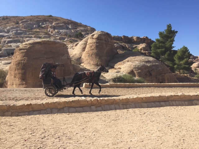 A few of us rode the horse & buggy to save our feet for later walking.