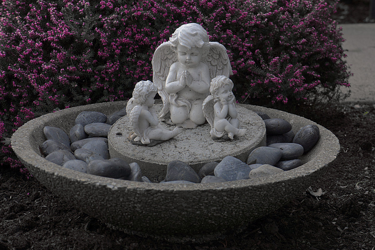 GardenAngels.jpg