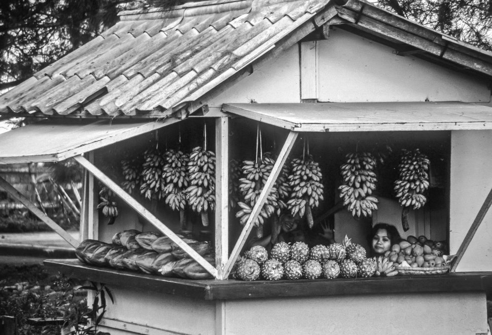 So You Started an S-Corp, What Now? Everything You Need to Know