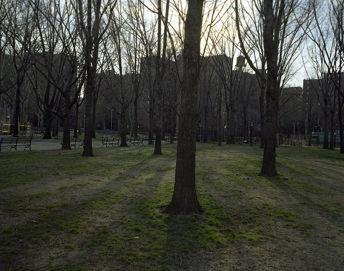 06_Lost_Grove.jpg