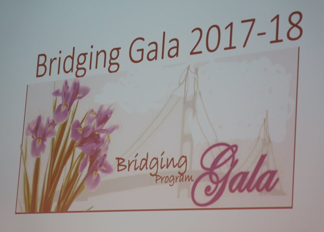 Bridging gala.jpg