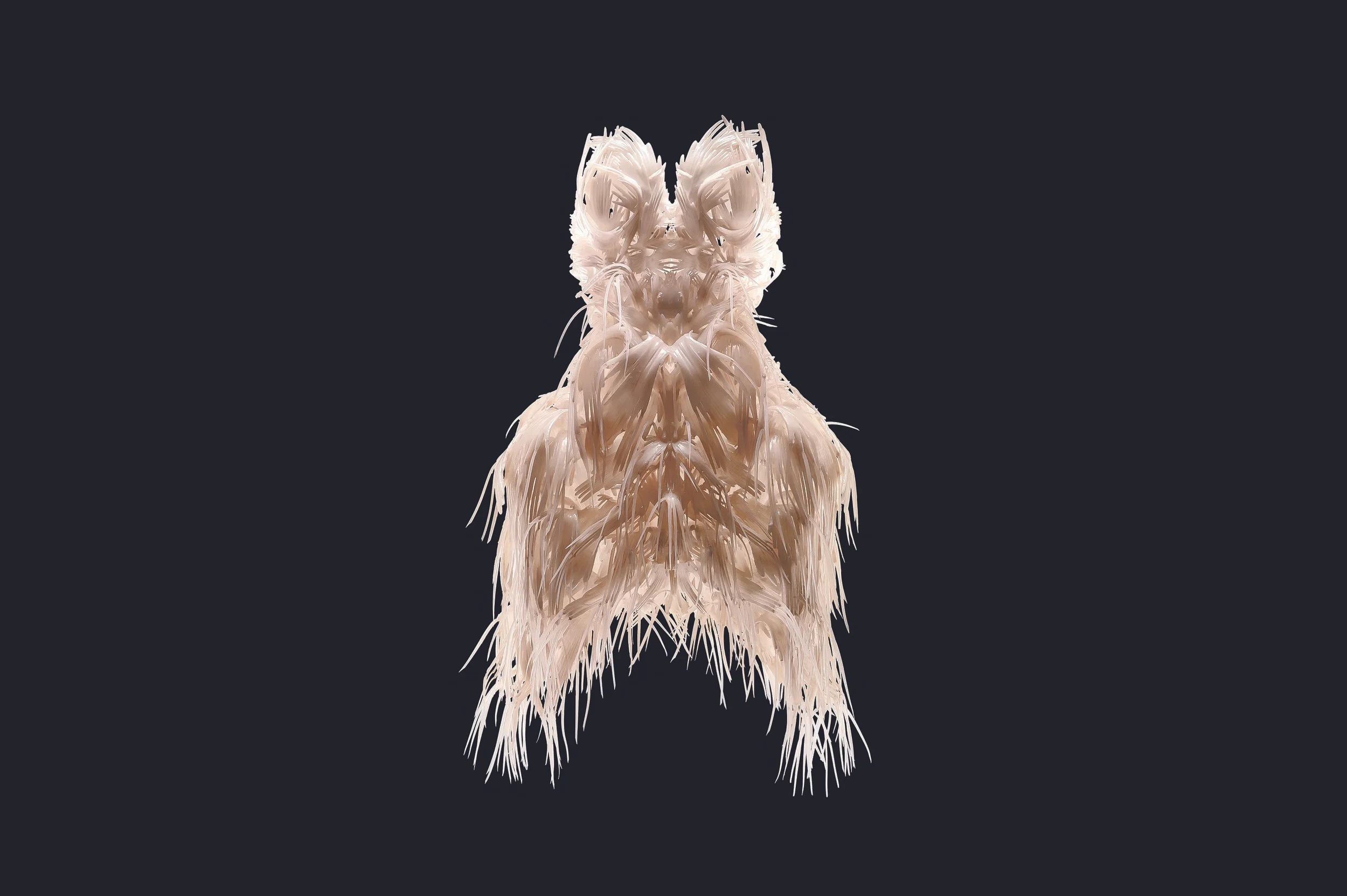 Exclusive Exhibition Preview Iris van Herpen: Transforming Fashion