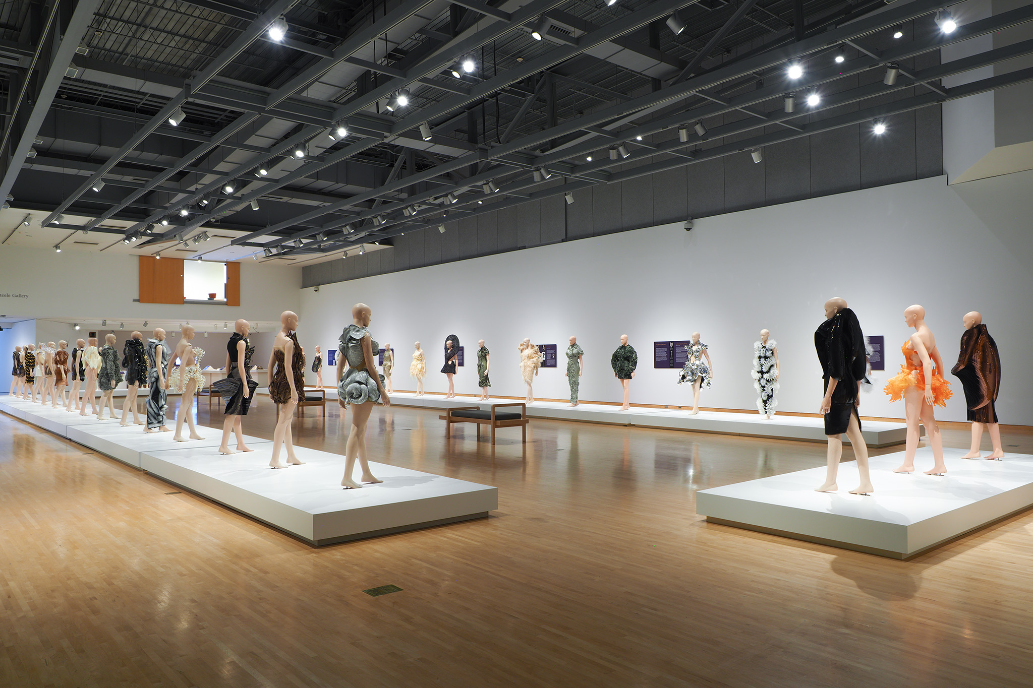 Iris van Herpen: Transforming Fashion