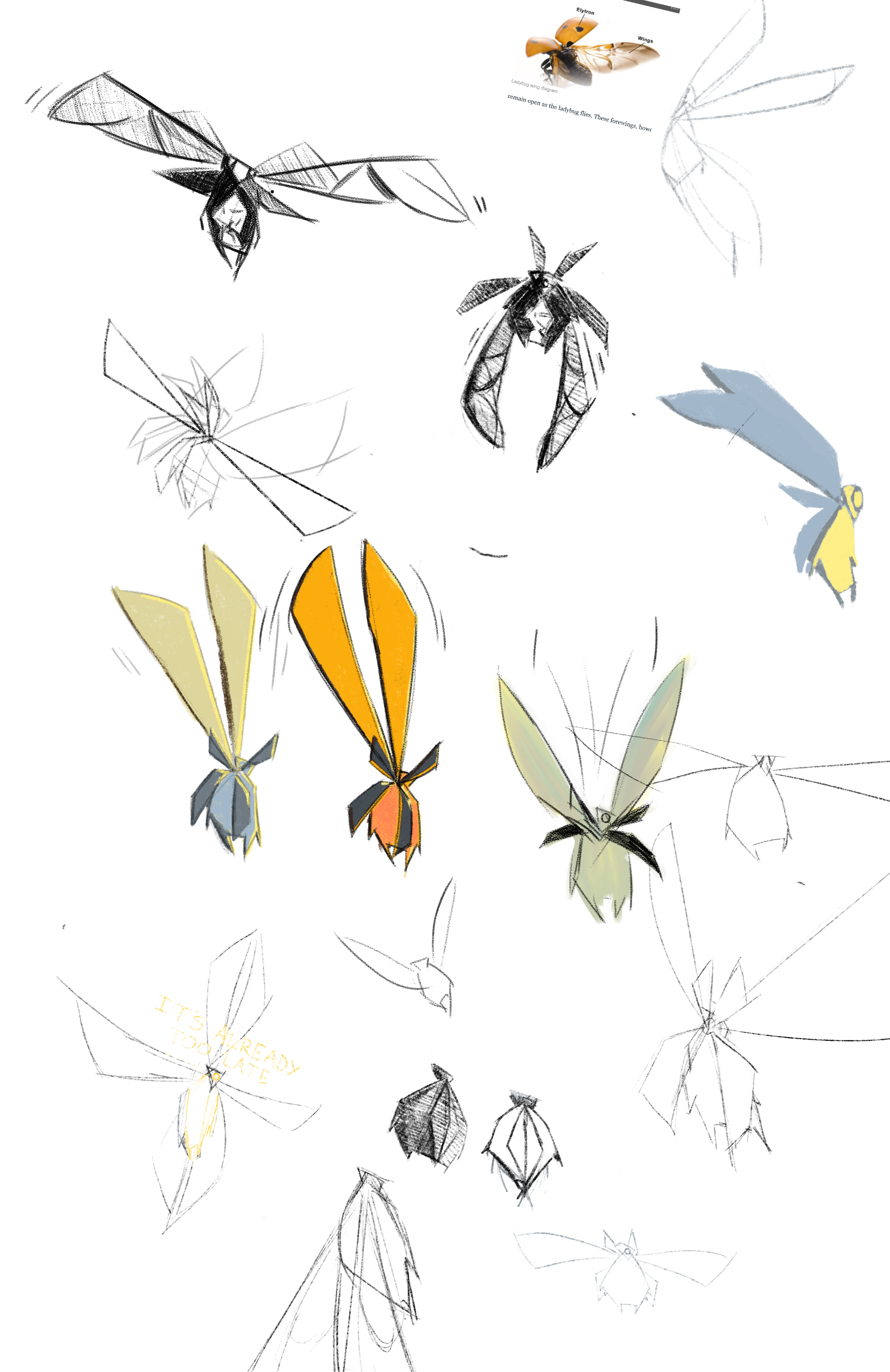 Untitled_Artwork 12.png