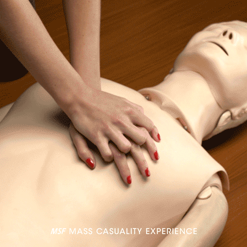 09-MASS-CASUALTY-EXPERIENCE-500px.gif