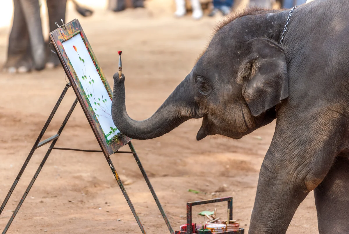 Pachydermal artist, Chang Mai, Thailand.