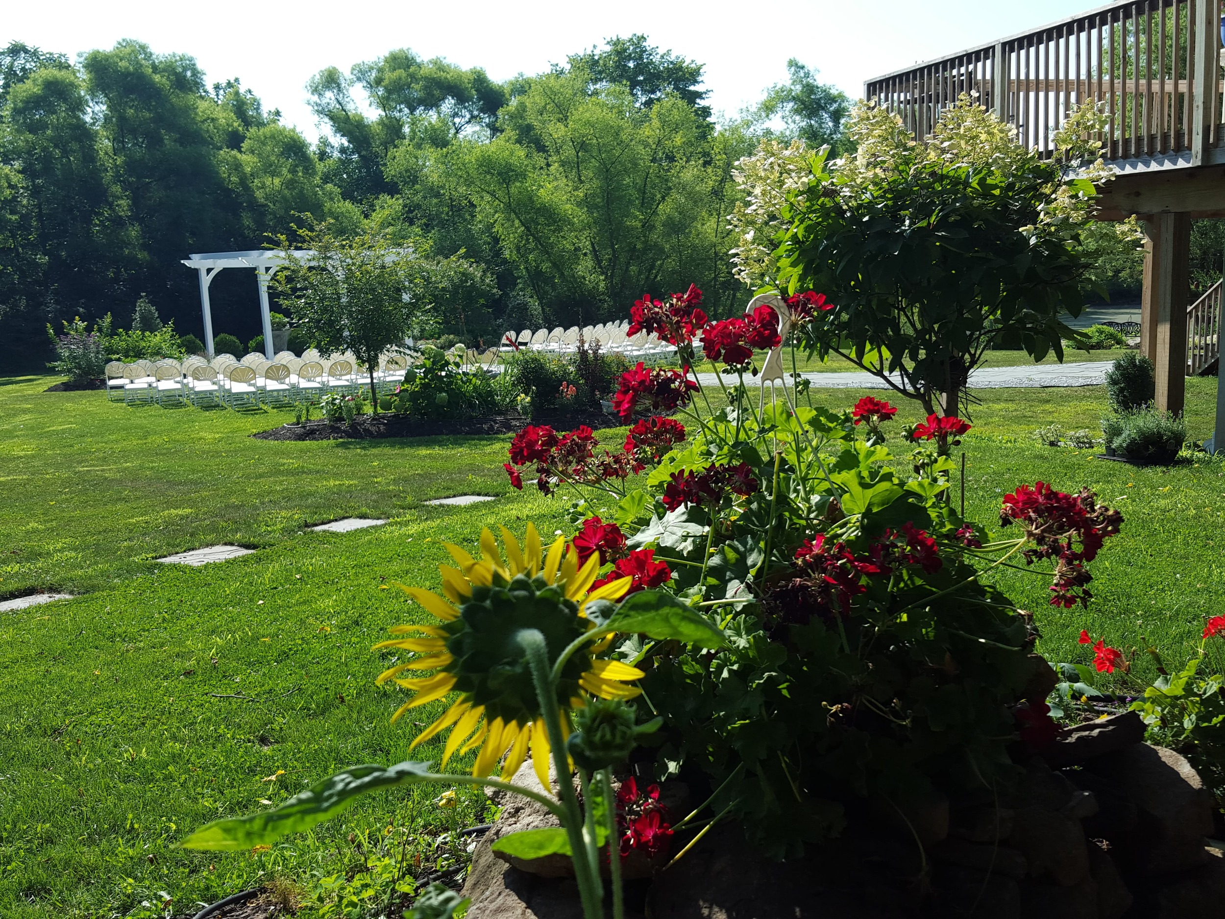 Flowers and pergola-min.jpg