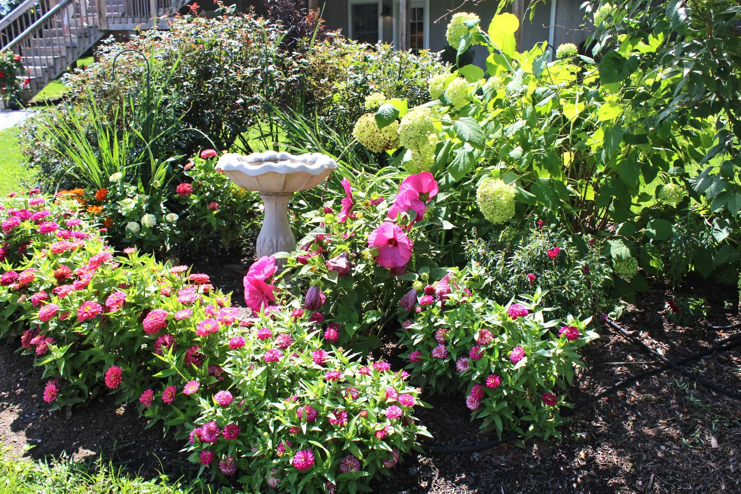 The 2nd Annual Summer Garden Tea